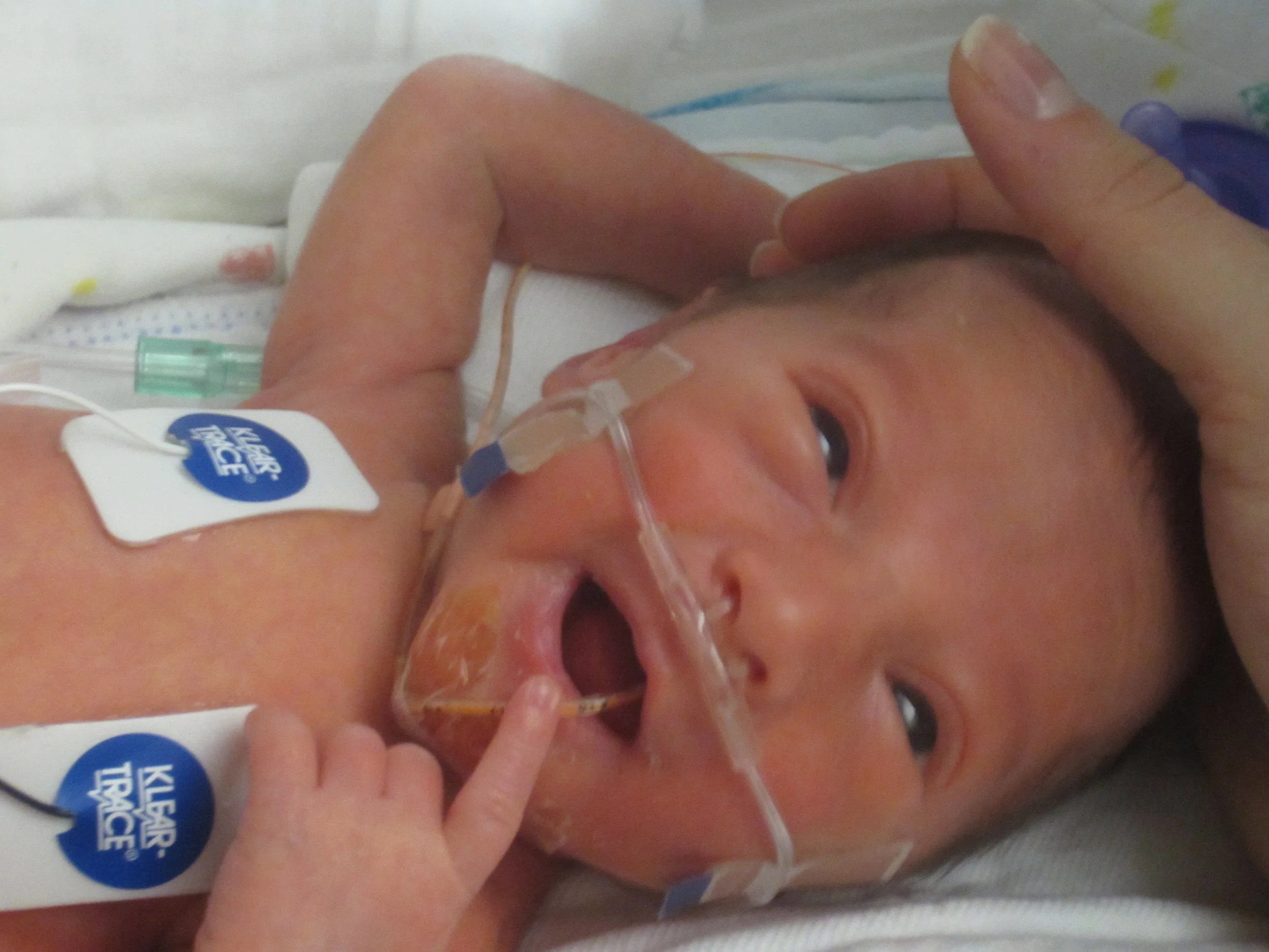 Angel Santino 041.jpg