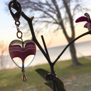 My Preemie Purple Heart...