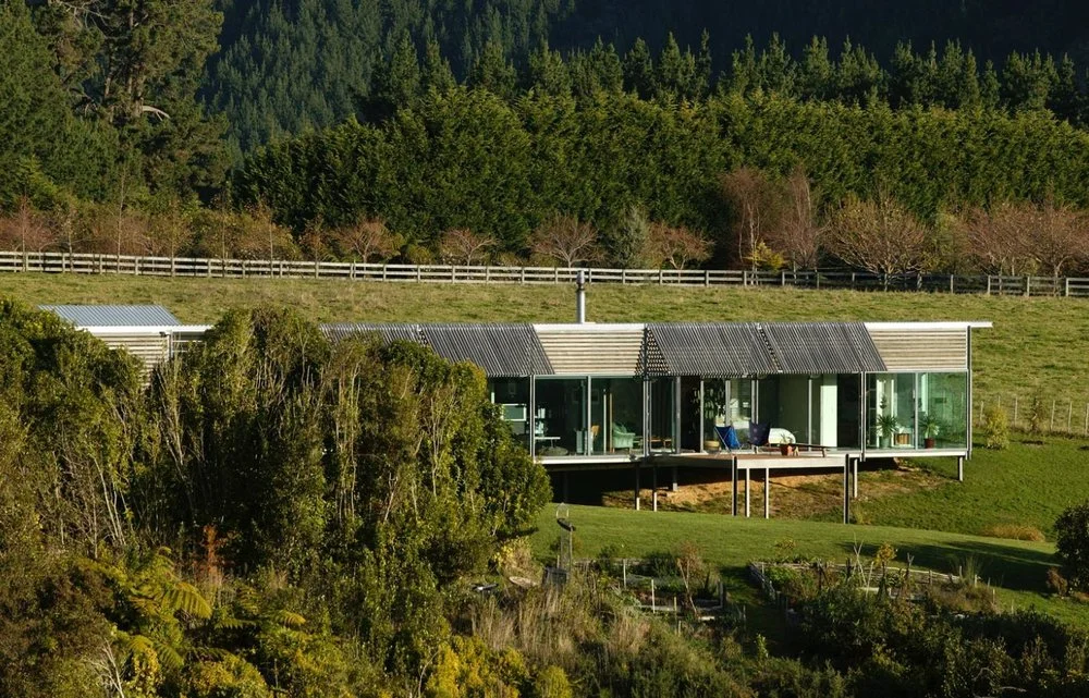 New Zealand   Dave Launder