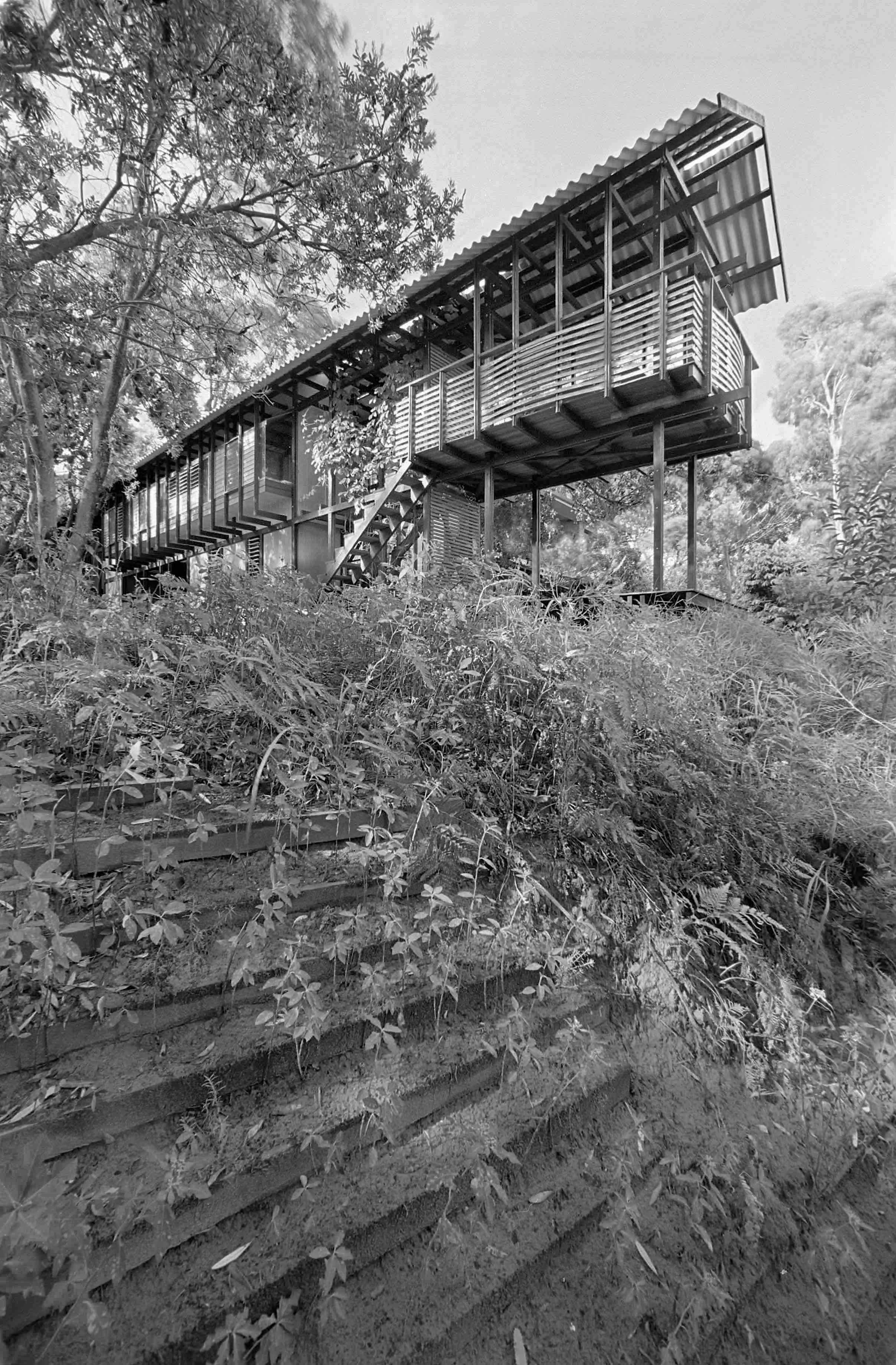 This Photograph : Reiner Blunck