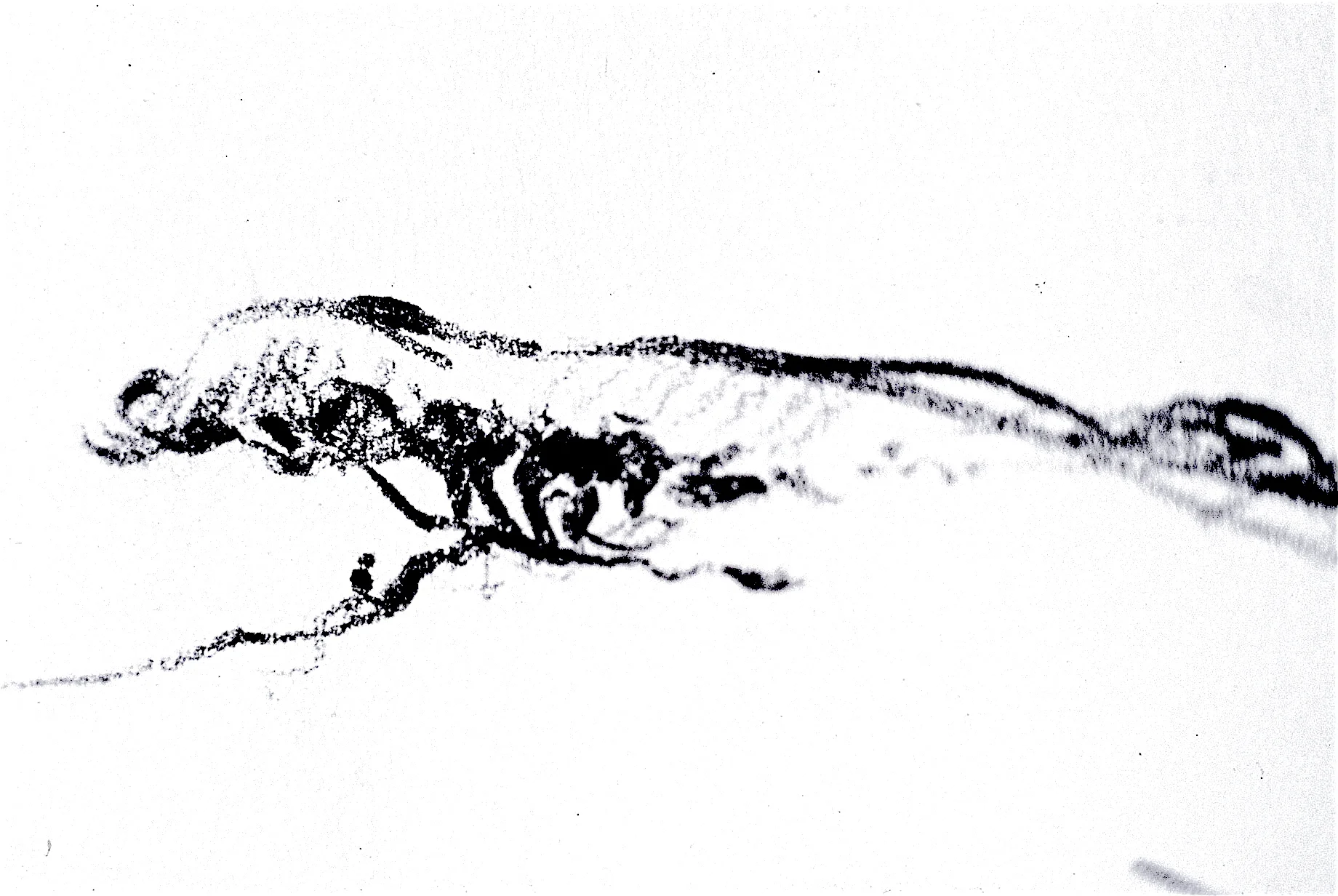 F1030034.JPG