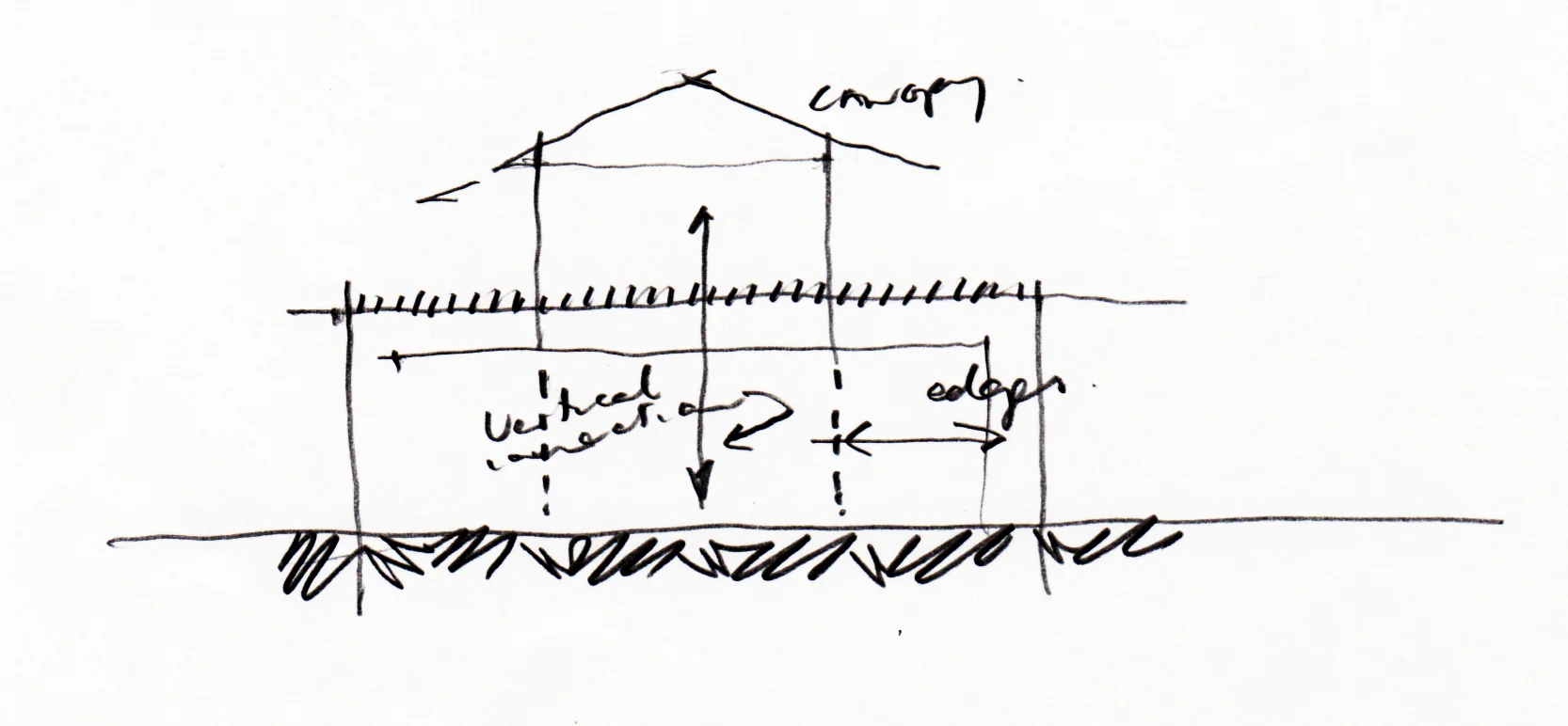 beach house sketch1.jpg
