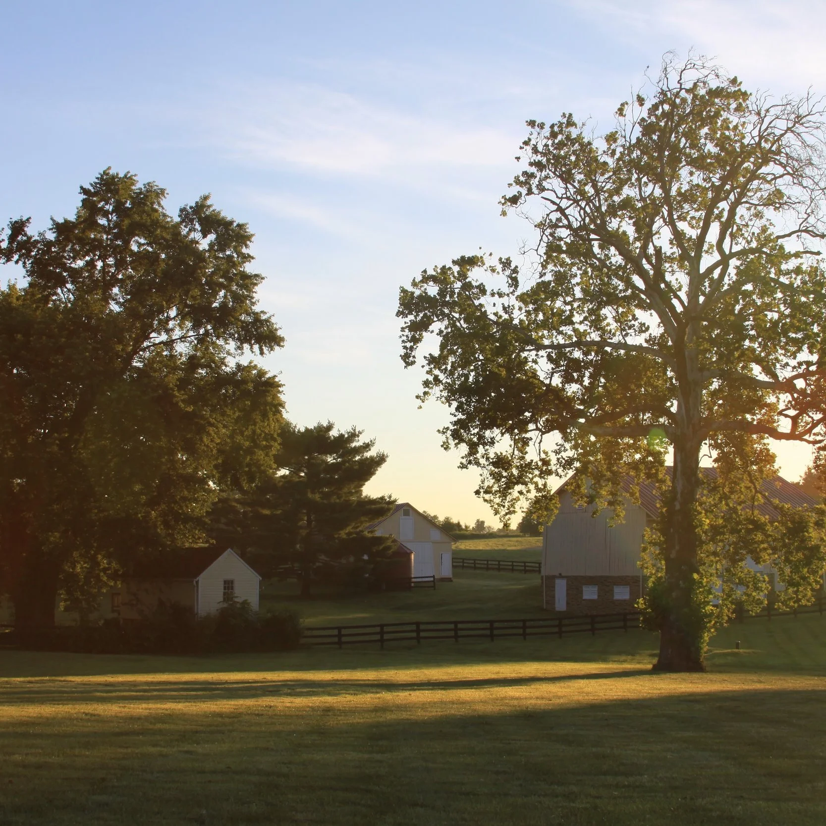 Front+Sunrise.jpg