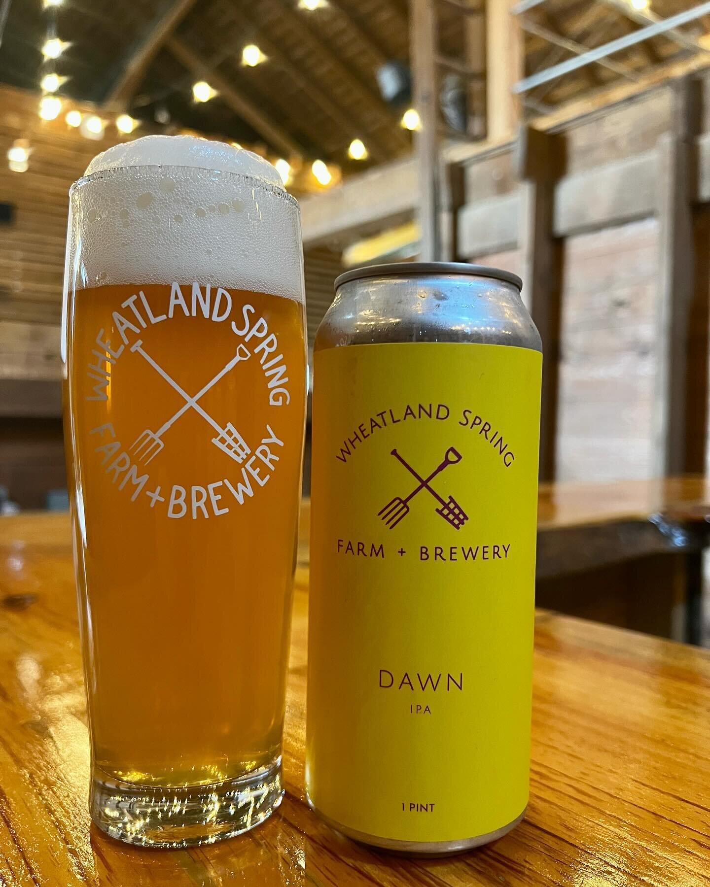 Seems dawn is both foundation and destination. 

DAWN
IPA, 6.8%
Made with all Piedmont grains and New World hops 

Its mix of local malts lays the foundation for firm bitterness, to the delight of balance-seekers who skew west. This cereal constructi