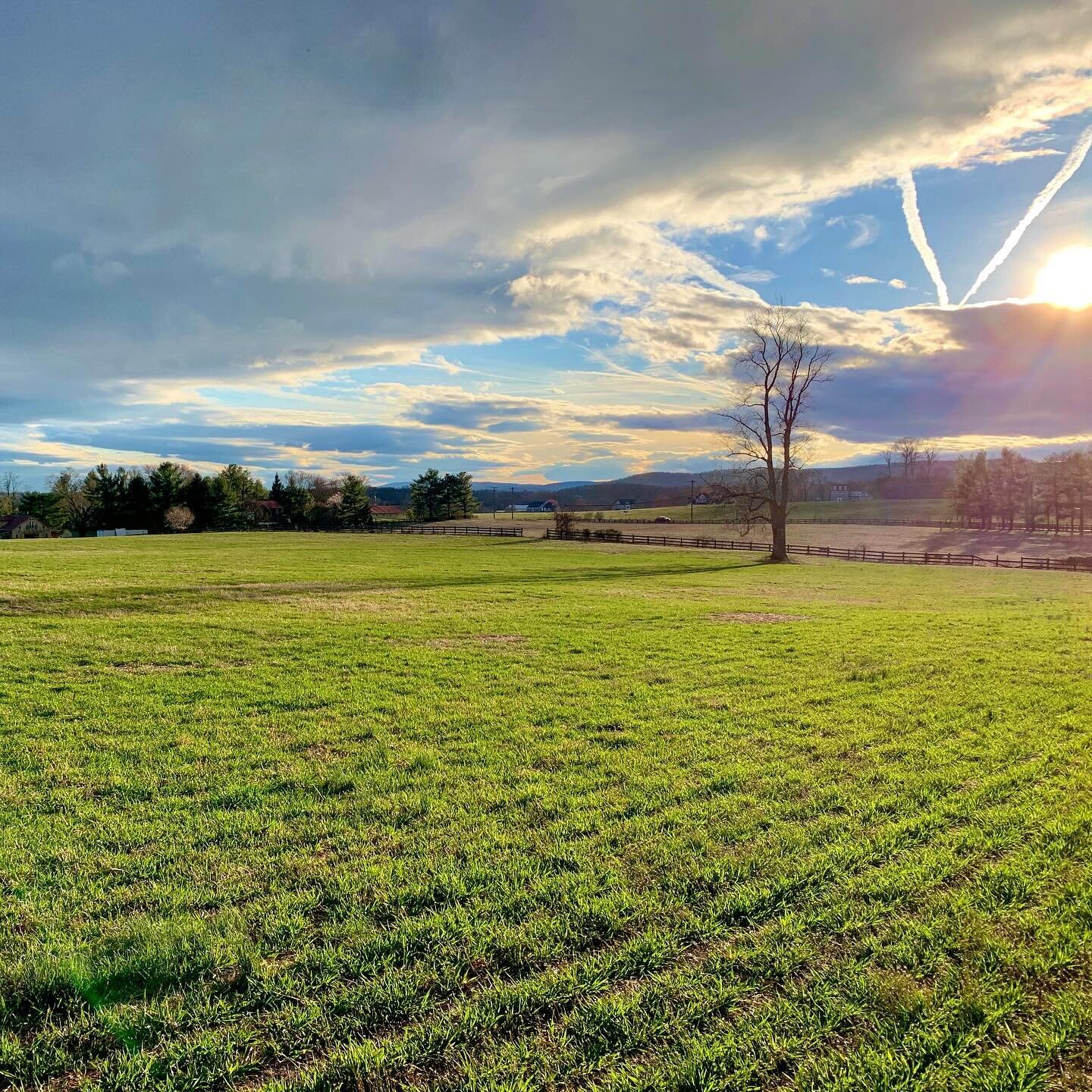 The farm is greening up for spring!☀️ 

Join us this weekend! 

Current Draft Lineup: 

Outset Estate Piedmont Ale 
Adorn Dry Hopped Lager
Noble Light Export Lager
Hybrid Availment Estate Triticale Lager 
Servus Helles Lagerbier 
Haidhausen Dunkles L