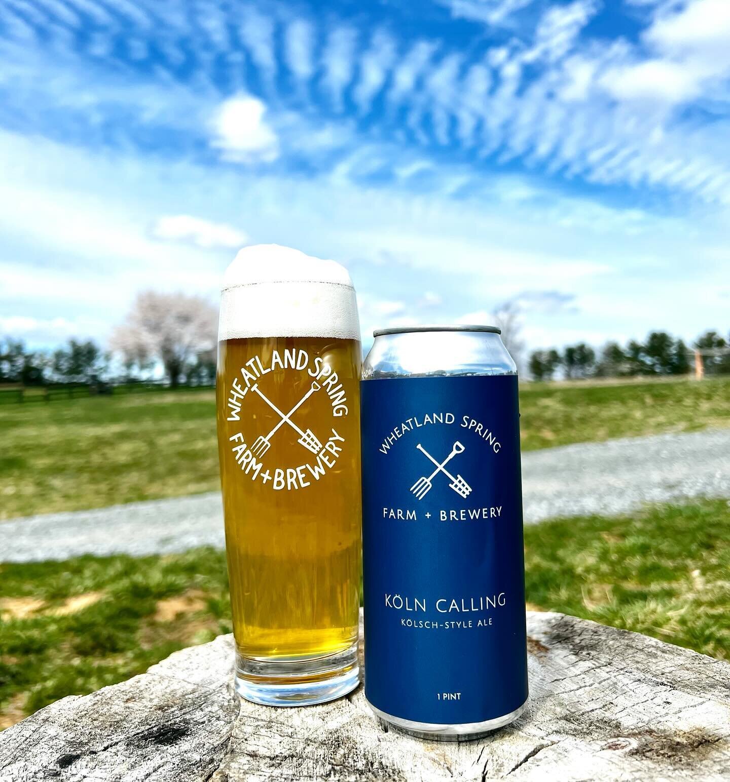 K&ouml;ln Calling K&ouml;lsch-Style Ale 

When a local creation charms so many that it reaches out far beyond its origin, we pay homage by answering the call. 

Available for NOVA HOME DELIVERY this Friday, March 22nd - just in time for Spring Break!