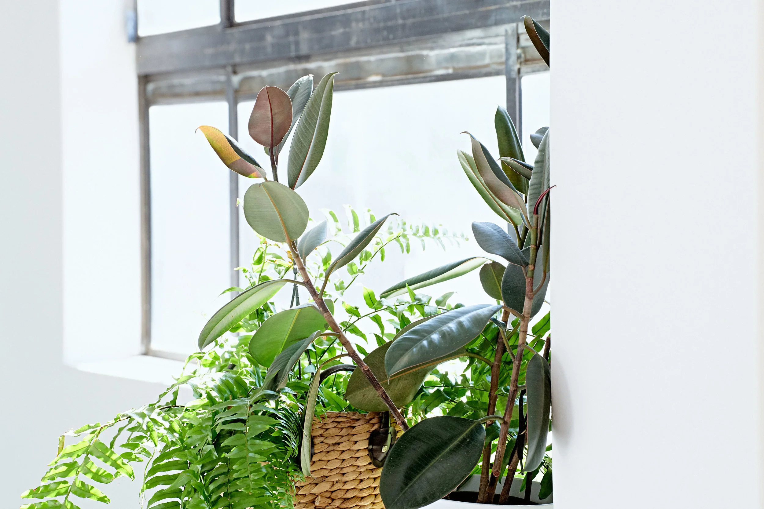 Blog Posts >