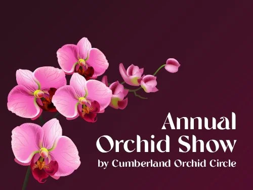 Cumberland Orchid Circle Annual Show