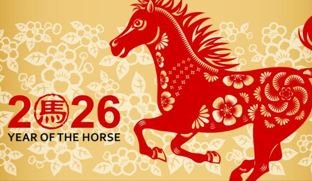 CHINESE NEW YEAR CELEBRATION - FORTUNA GARDENS