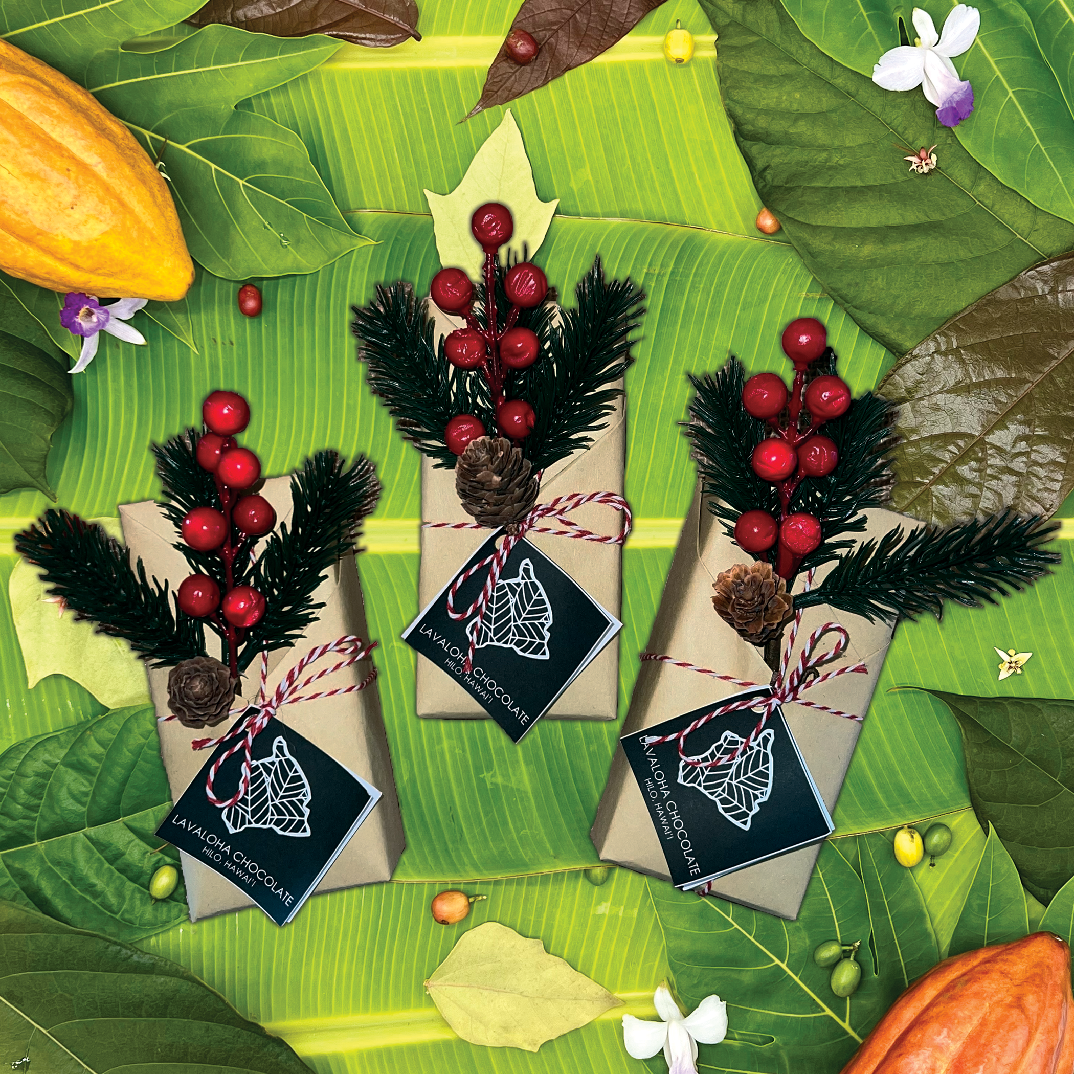 CHOCOLATE GIFT BOX - PNG.png