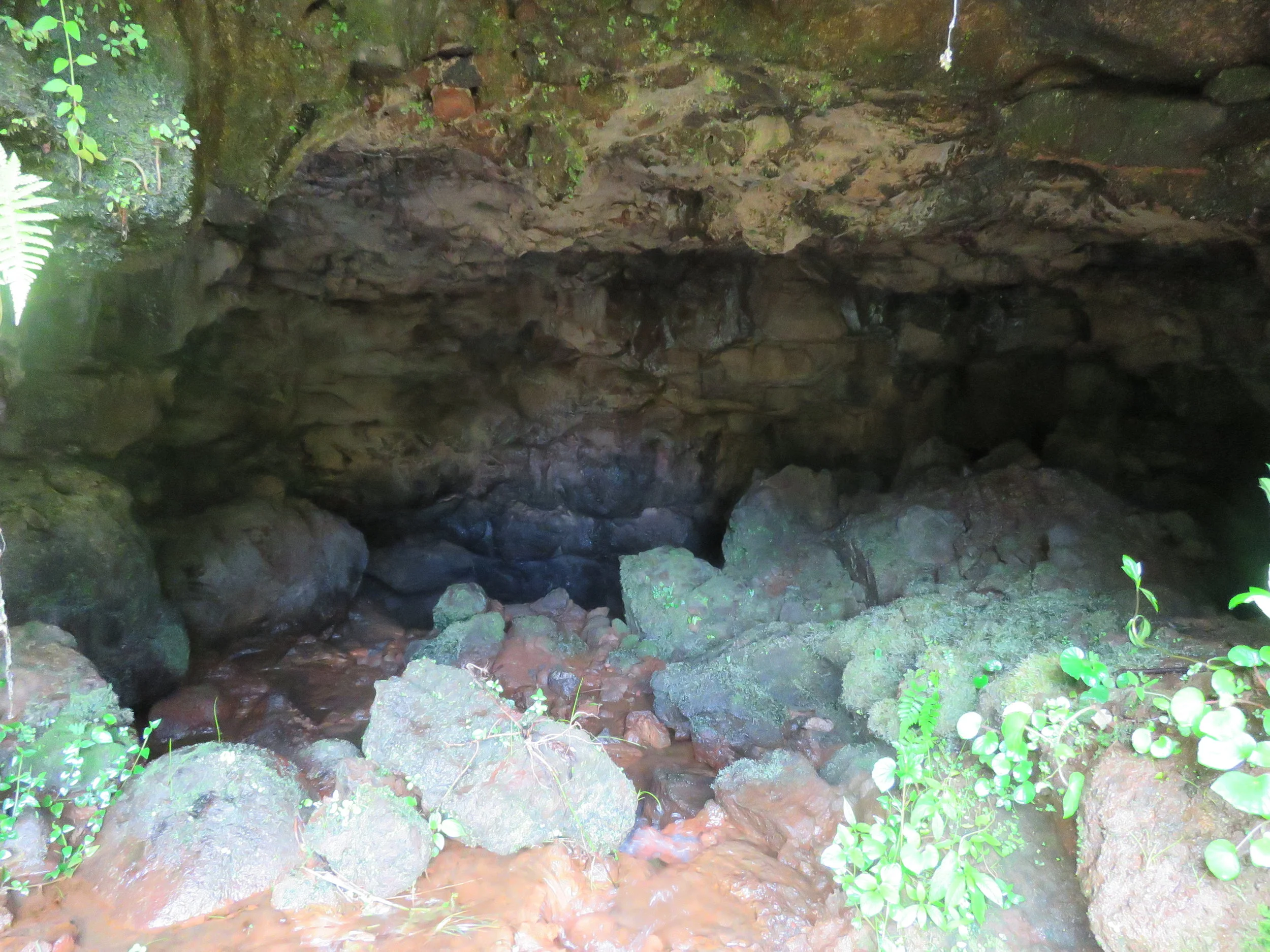 The Cave at the End of the Stream