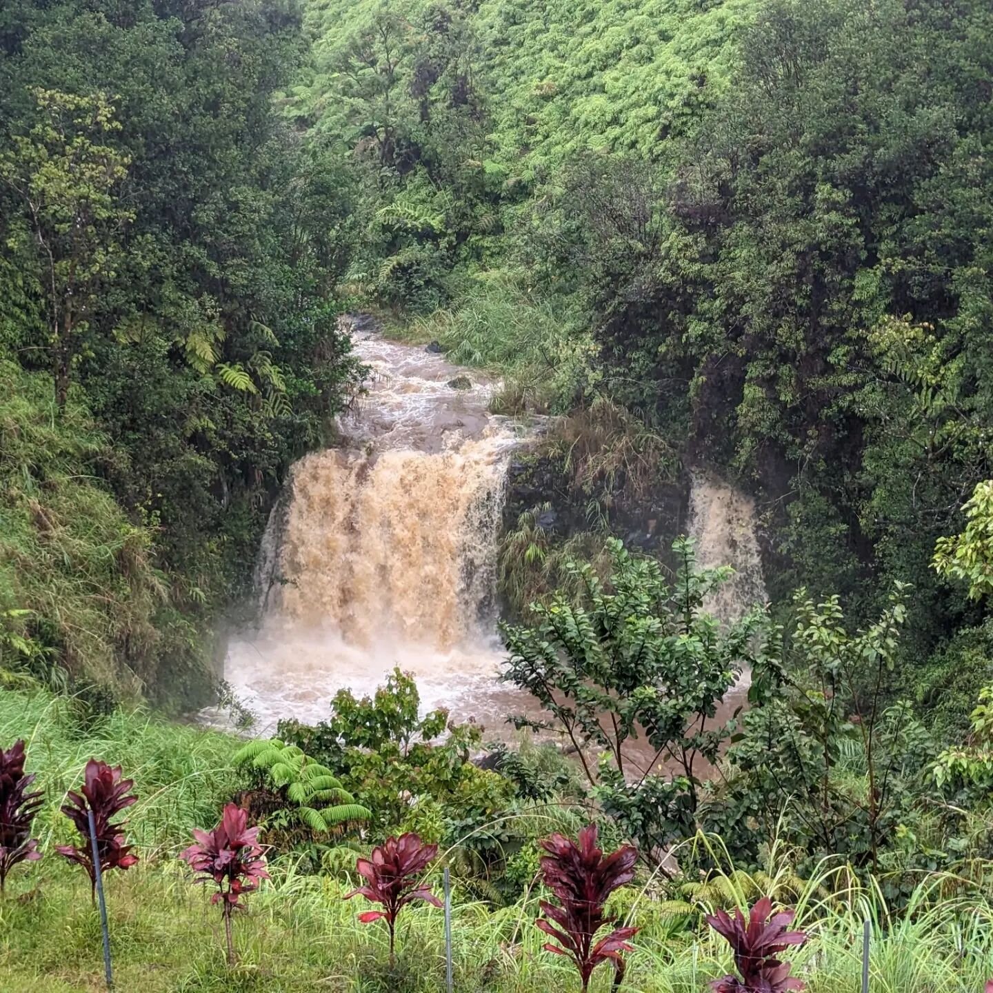 Stay safe and stay dry! Our waterfall is definitely turning chocolatey with all this rain! We are currently open and operating as normal but we are monitoring the weather and will stay open weather permitting.