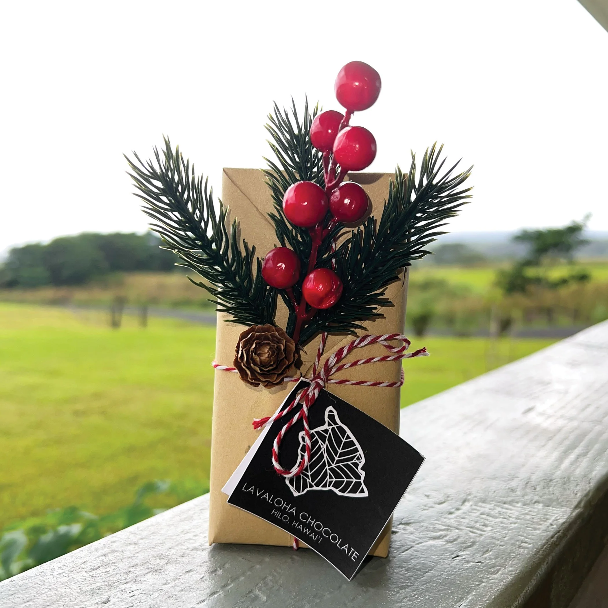 CHOCOLATE GIFT BOX SINGLE - JPG.jpg