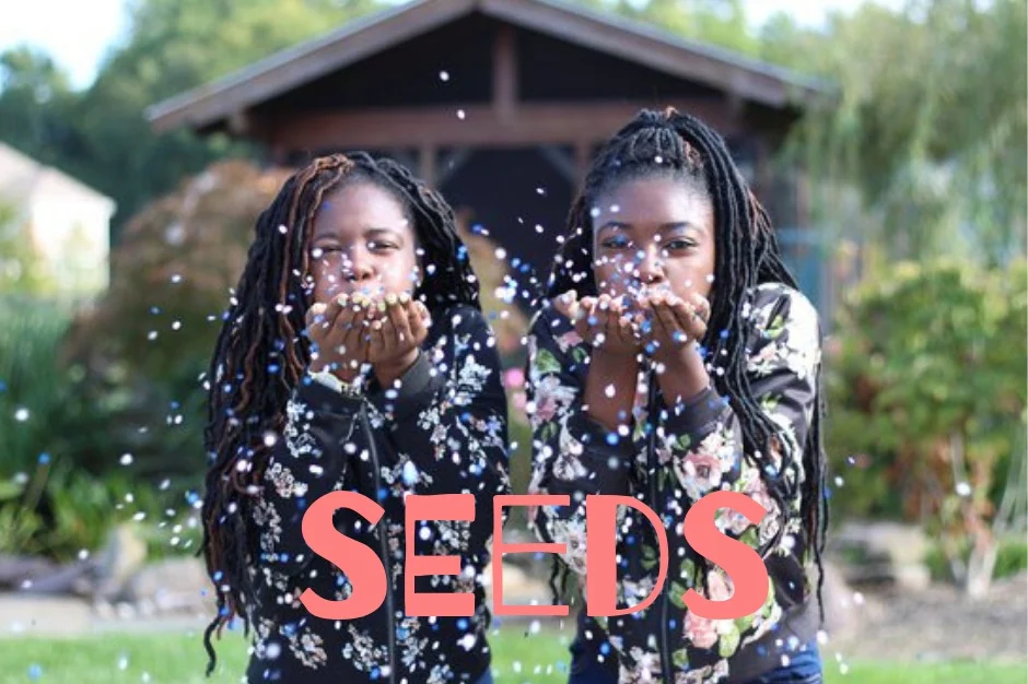 SEEDS.jpg