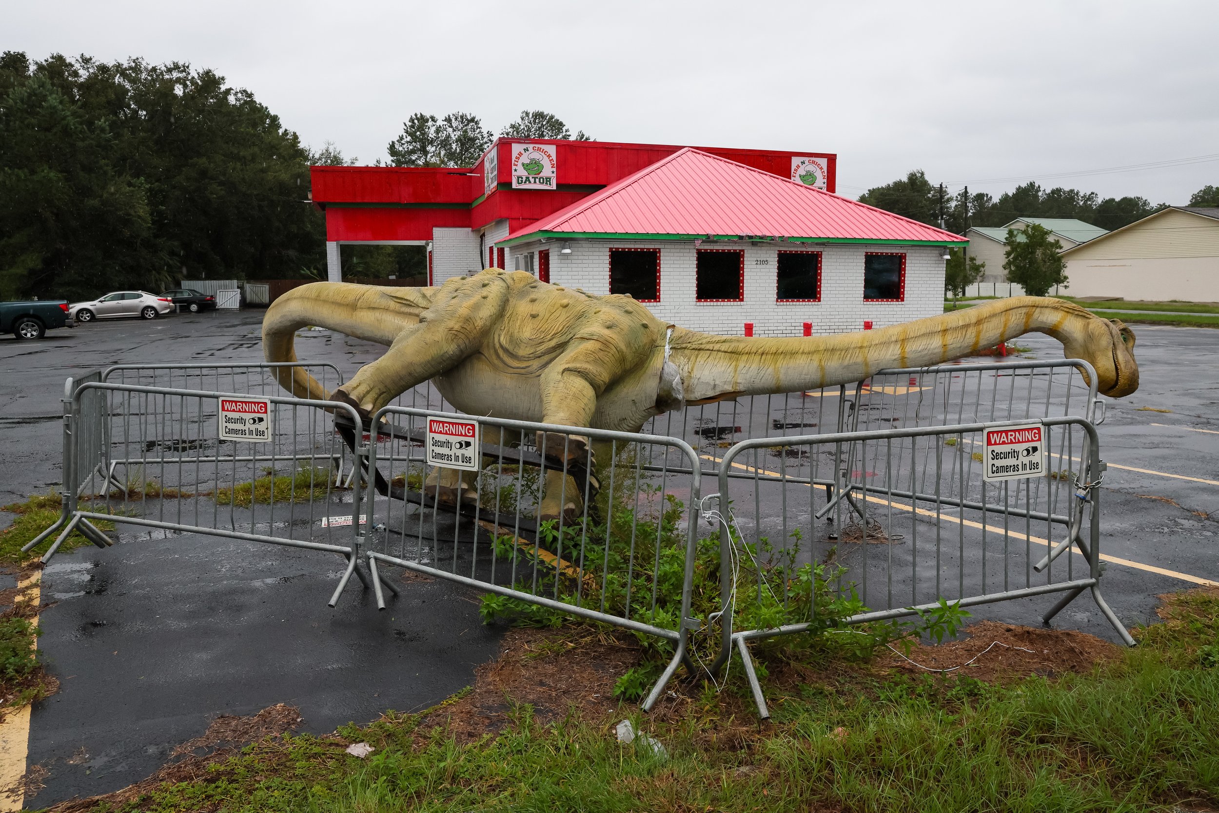  A fallen dinosaur statue is seen in St. Marys, Georgia on Thursday, September 29, 2022 as tropical storm Ian makes its way north from Florida. 