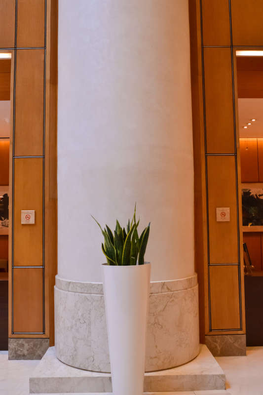Marriot Hotel Orchard - 3 story high Armourcoat Spatulata Colourwash hand-applied finish on tall columns, creating a majestic look.