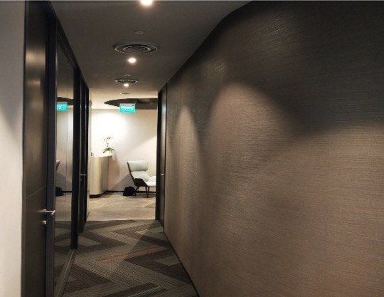 20th Century Fox Offices- 1800m2, Armourcoat finishes, high gloss finishes and textured accent coatings.