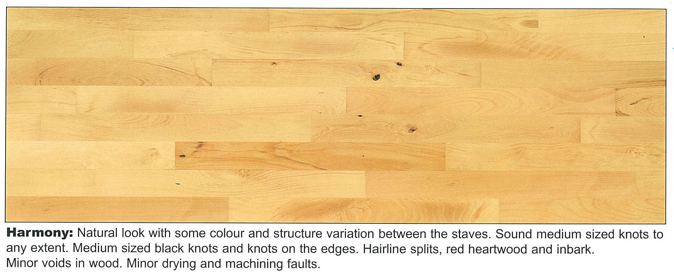 Junckers Timber Floor — Prospec Surfaces