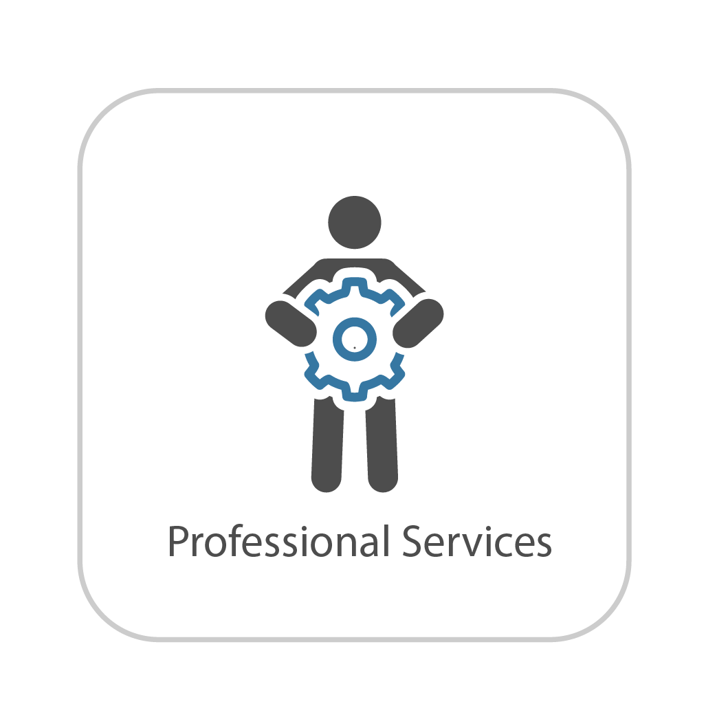 Professional Services