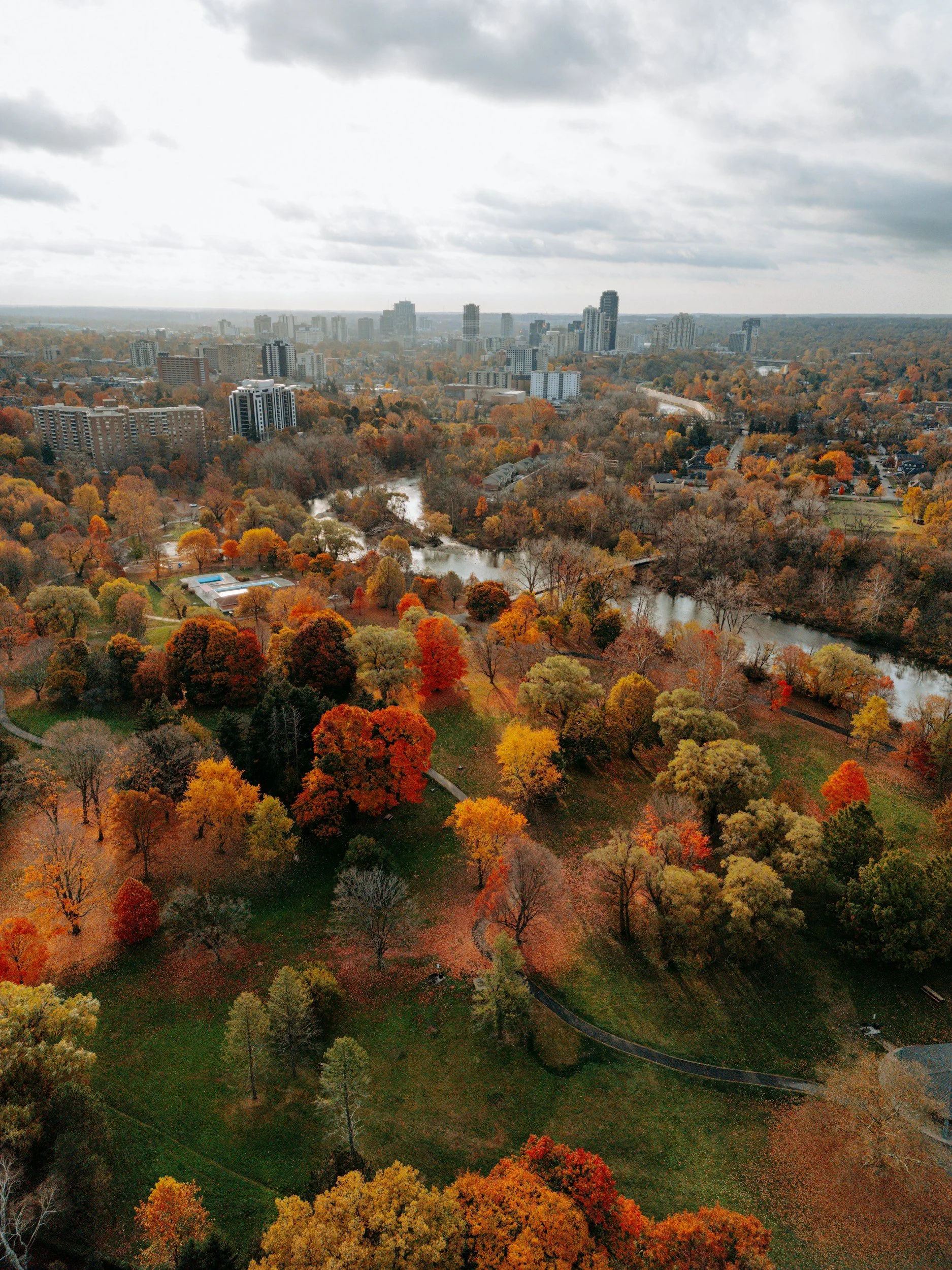 Bird's eye view of a city skyline with tall buildings in the distance, surrounded by a park with trees displaying fall foliage in orange, yellow, and red hues, and a river flowing through the park.