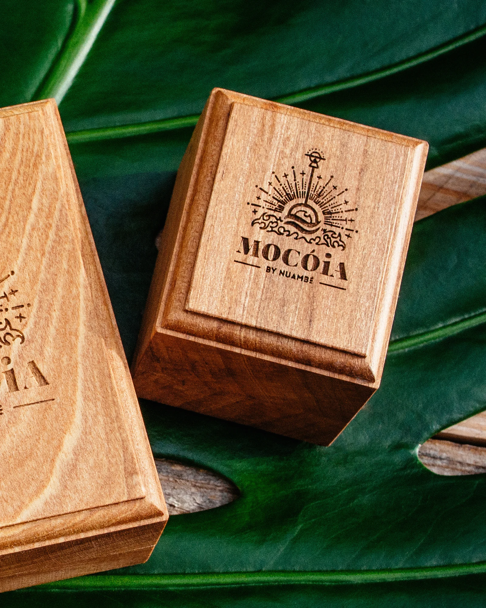 MOCOIA_EcrinTresor_PetiteBague_1_2000px.jpg