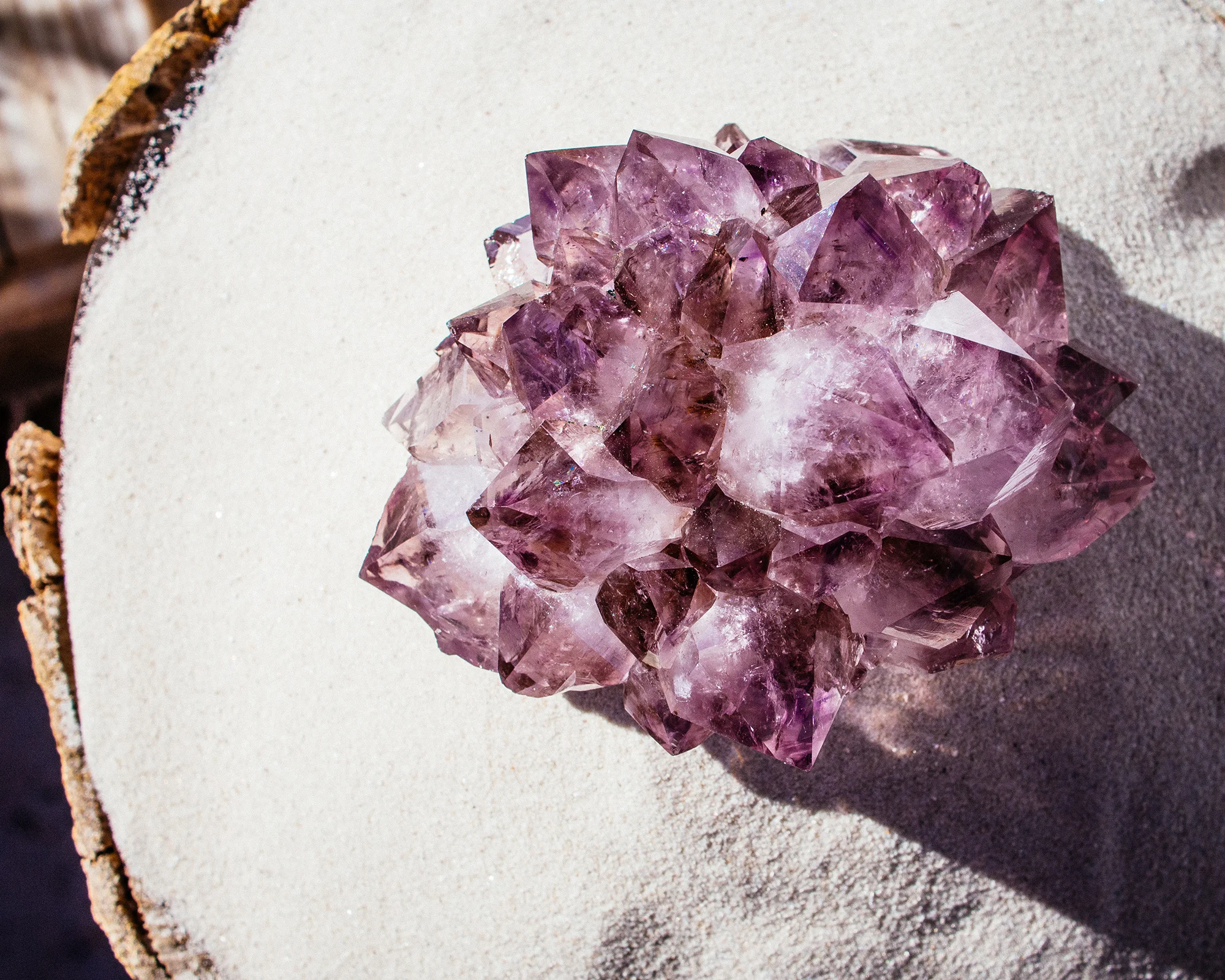 MOCOIA_Cristaux_1_AmethysteDruse_1DAMET1_i6.jpg