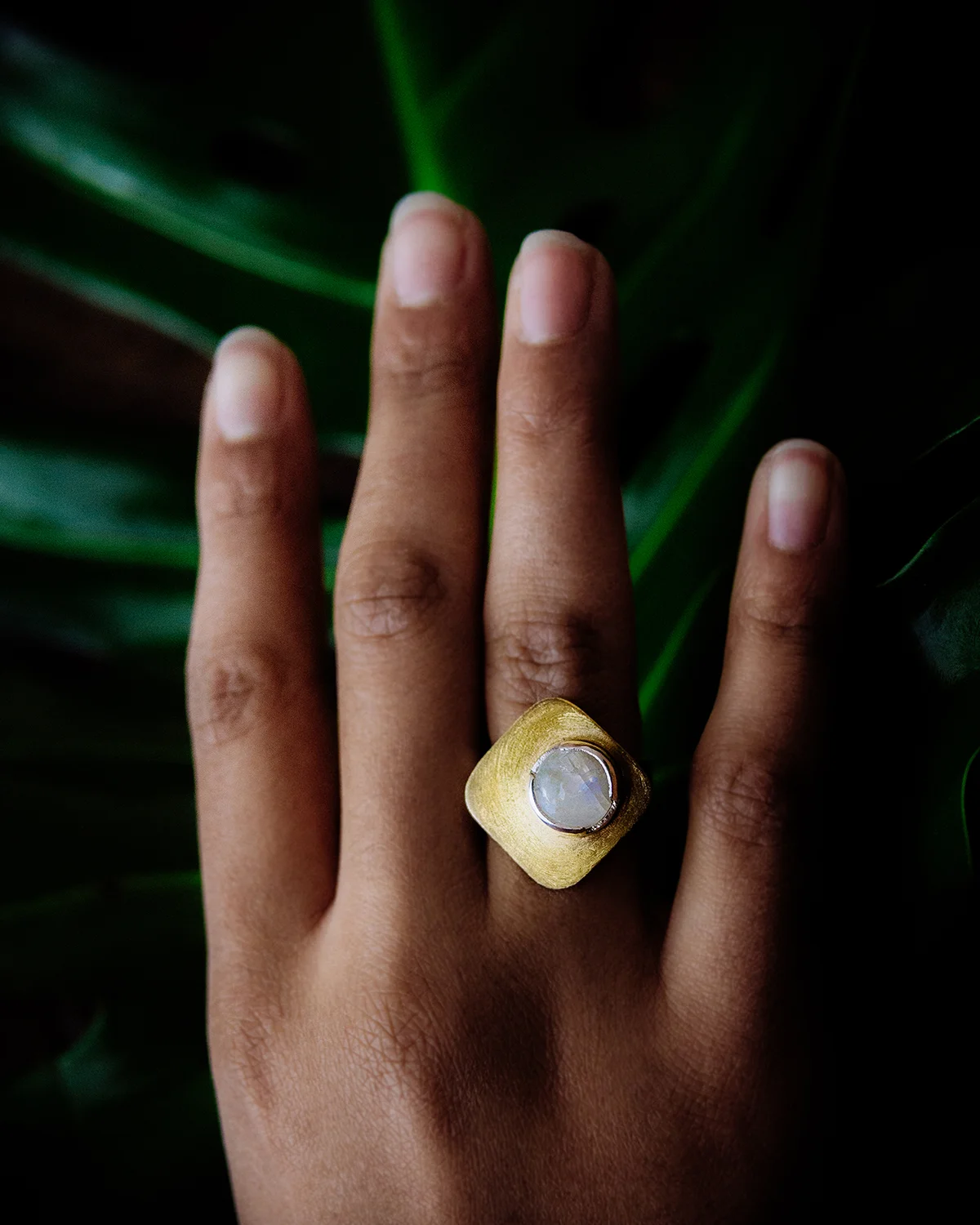 MOCOIA_Moonstone_Bronzee_1_small.jpg