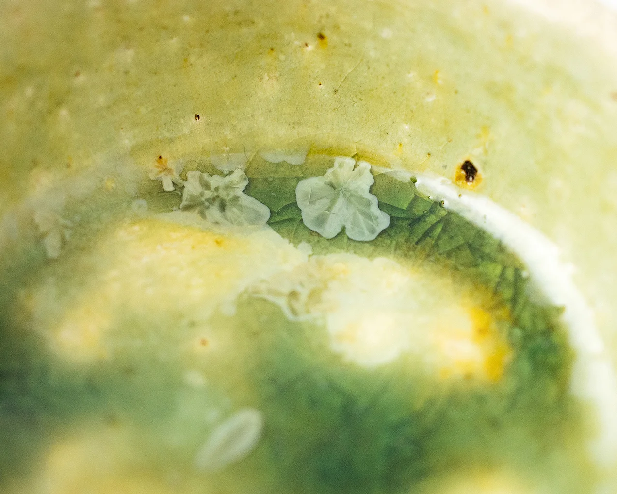 MOCOIA_CERAMICS_BOITEABIJOUX_MANITA_JauneBleuVert_100dpi_6.jpg