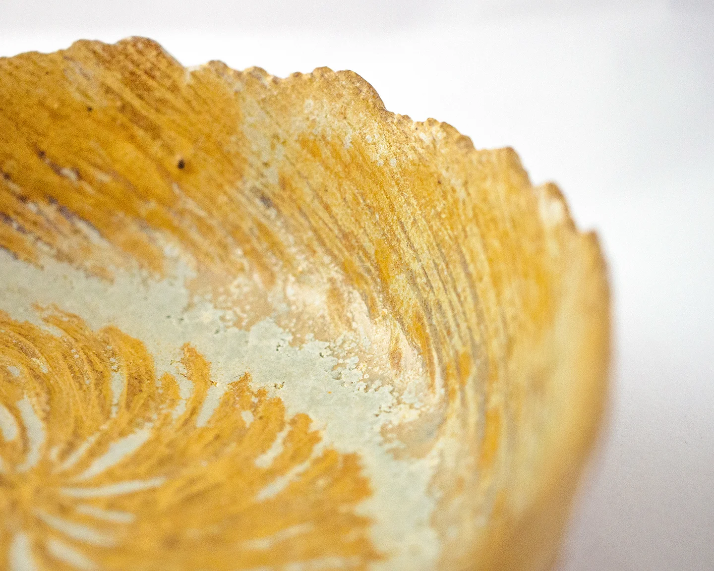 MOCOIA_CERAMICS_COUPELLE_FOURRURE_100dpi_1.jpg