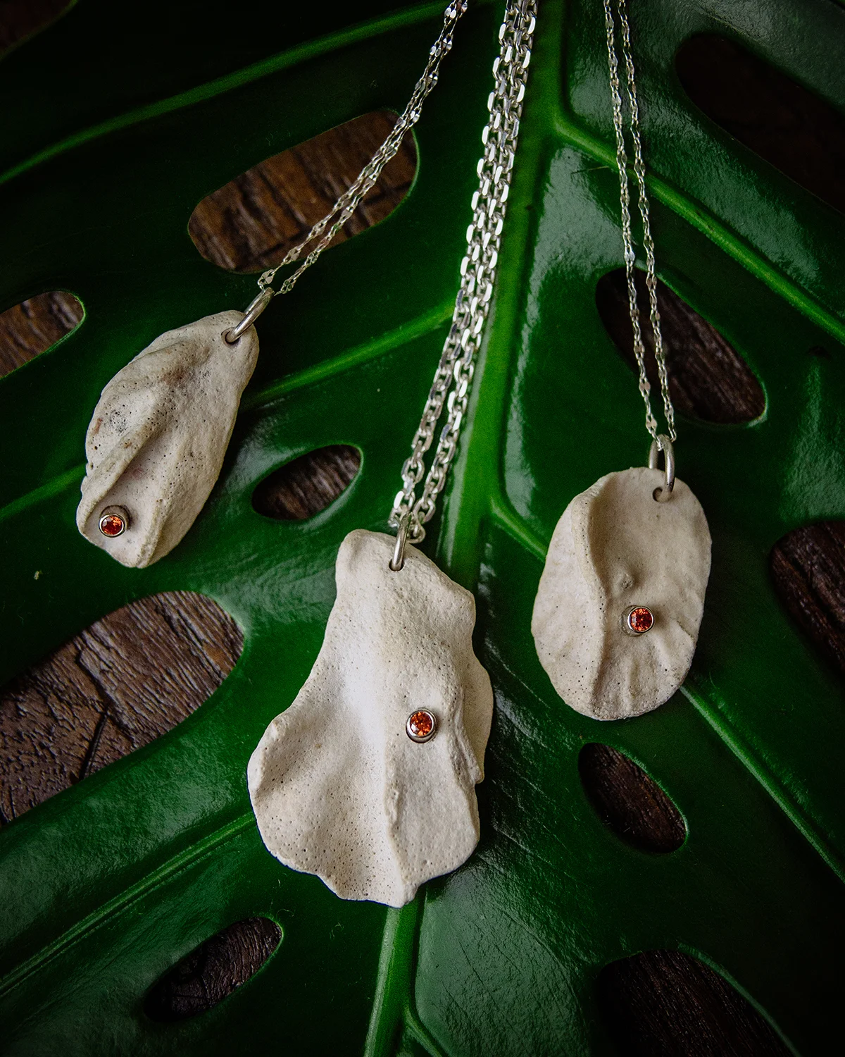 MOCOIA_2019_Anima_MerEtoilee_Trio_1_small.jpg