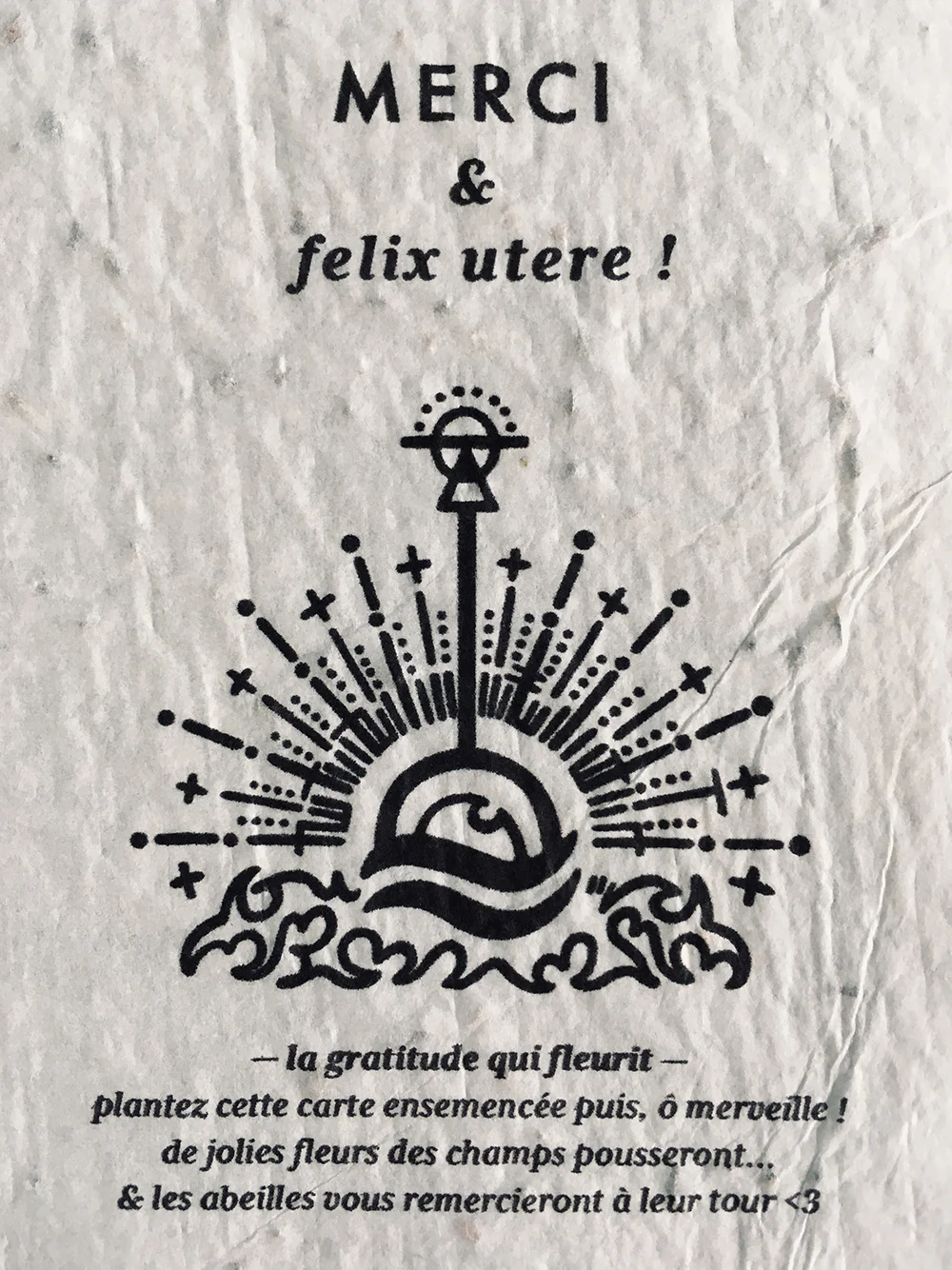 MOCOIA_MERCI_3_sm.jpg