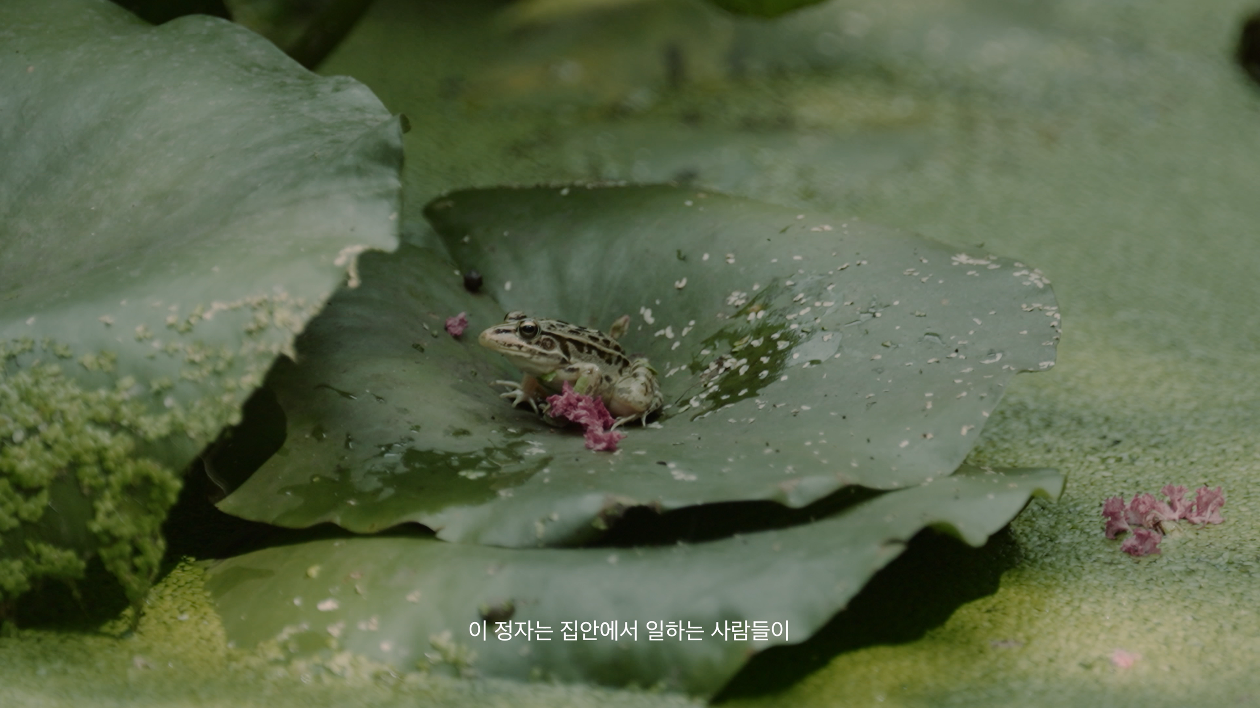 [4K]남원몽심재고택_한글자막-0005.png