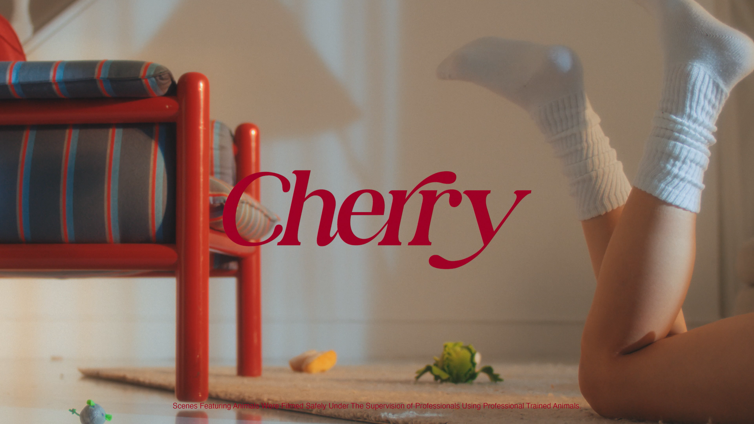 240813_CHERRY MASTER FINAL-2-0021.PNG