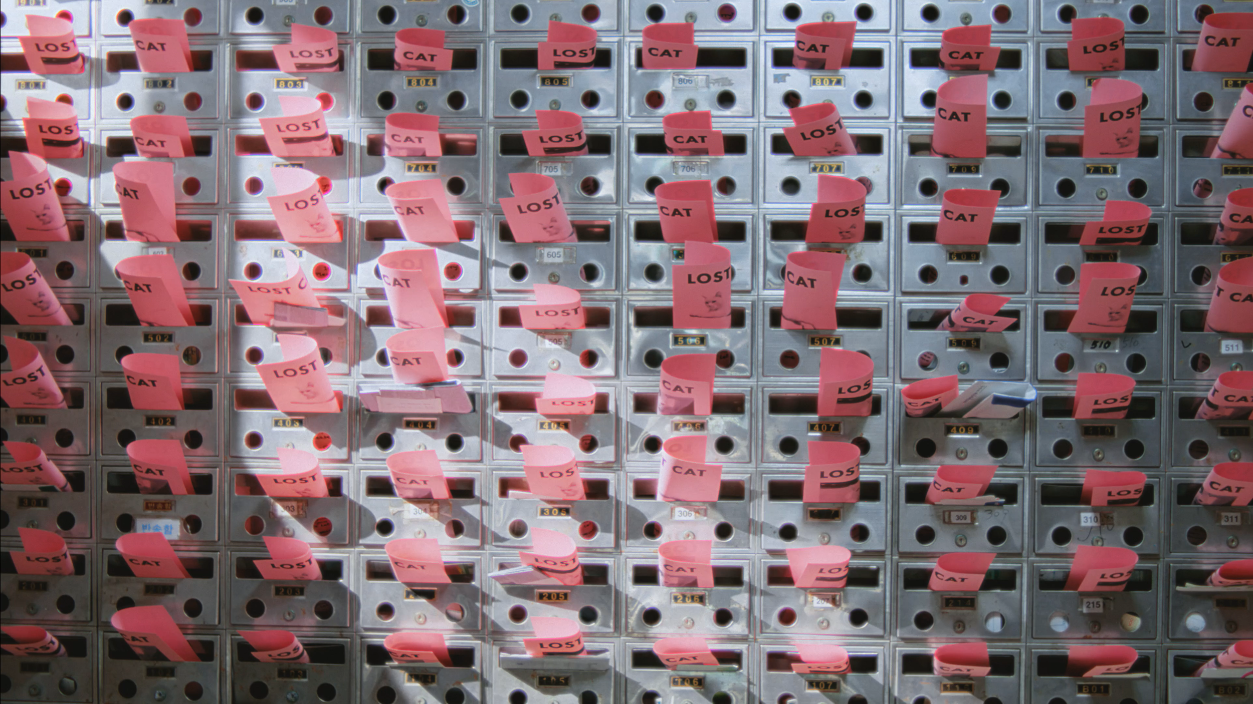 240813_CHERRY MASTER FINAL-2-0019.PNG