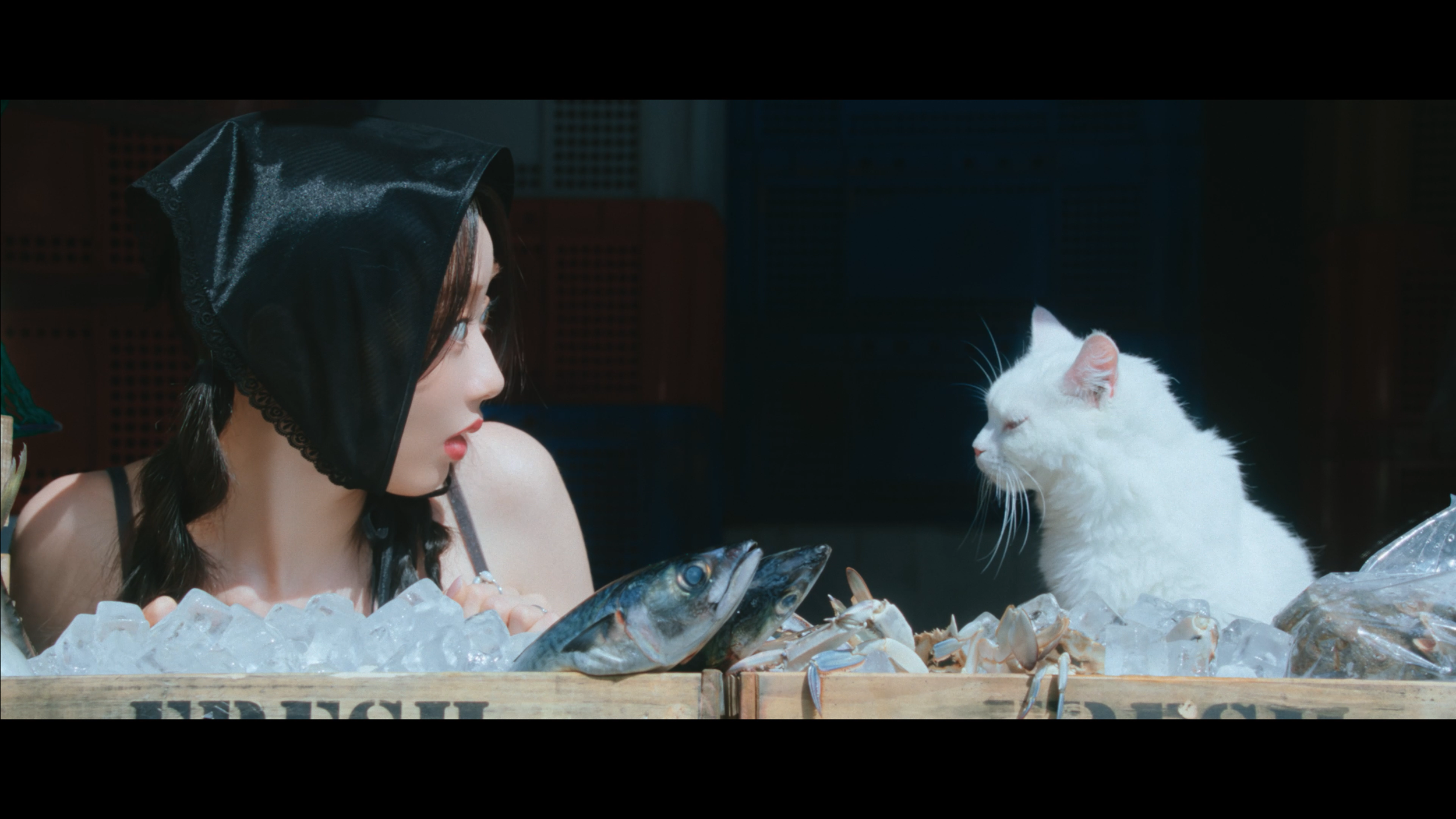 240813_CHERRY MASTER FINAL-2-0008.PNG