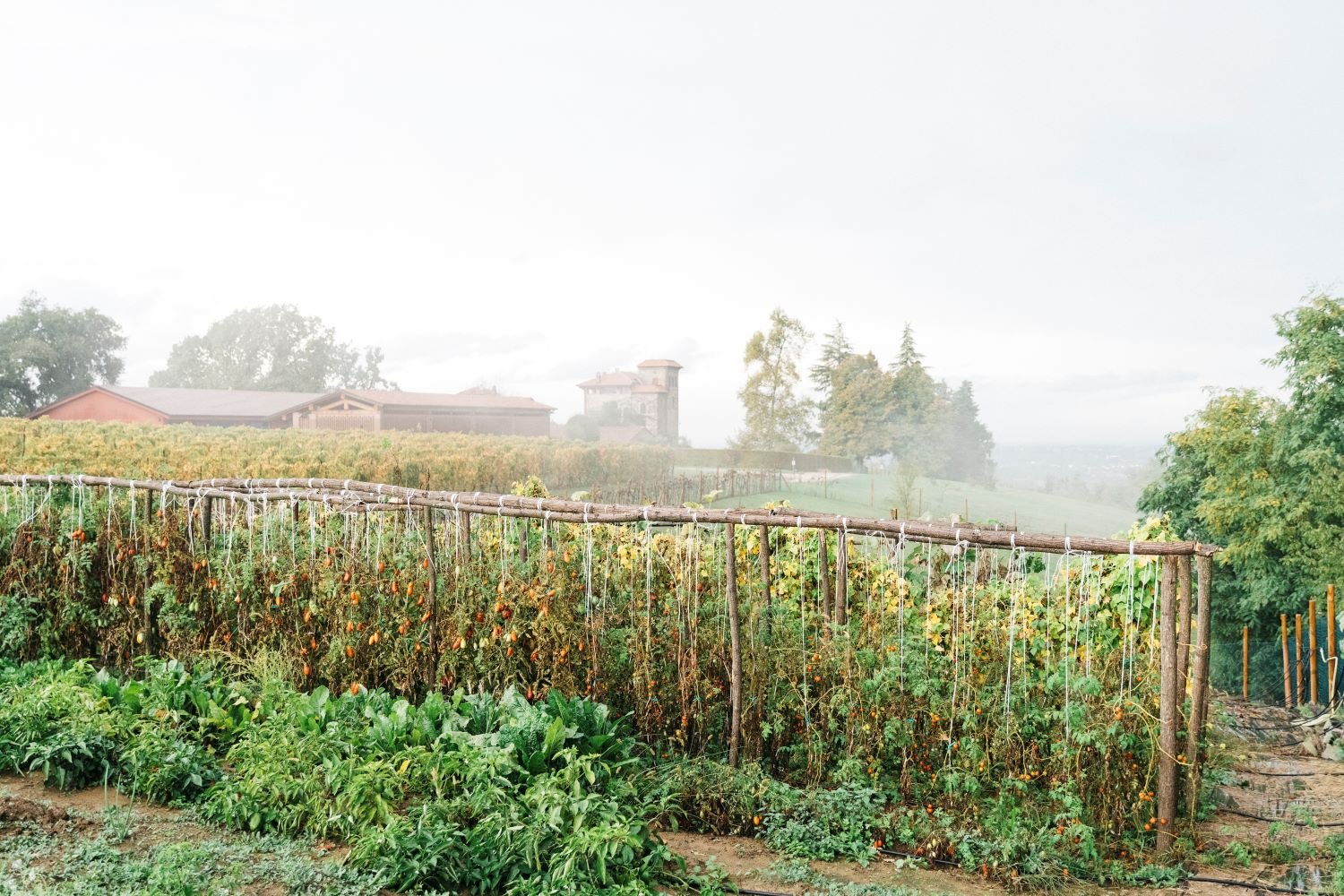 gjerde_10_web - ridotta.jpg