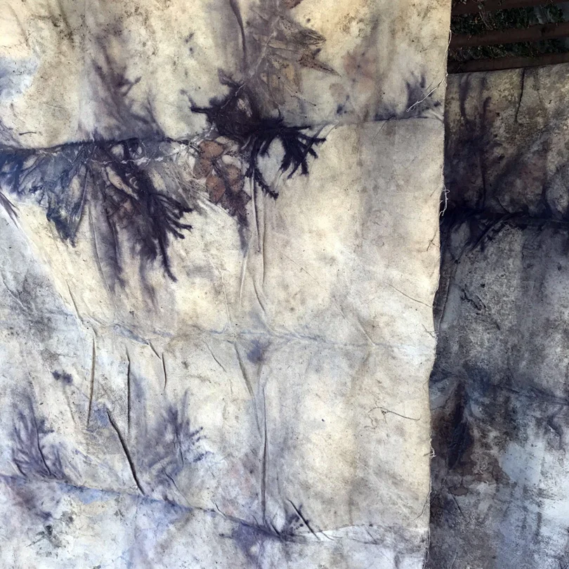INDIA FLINT new work.jpg