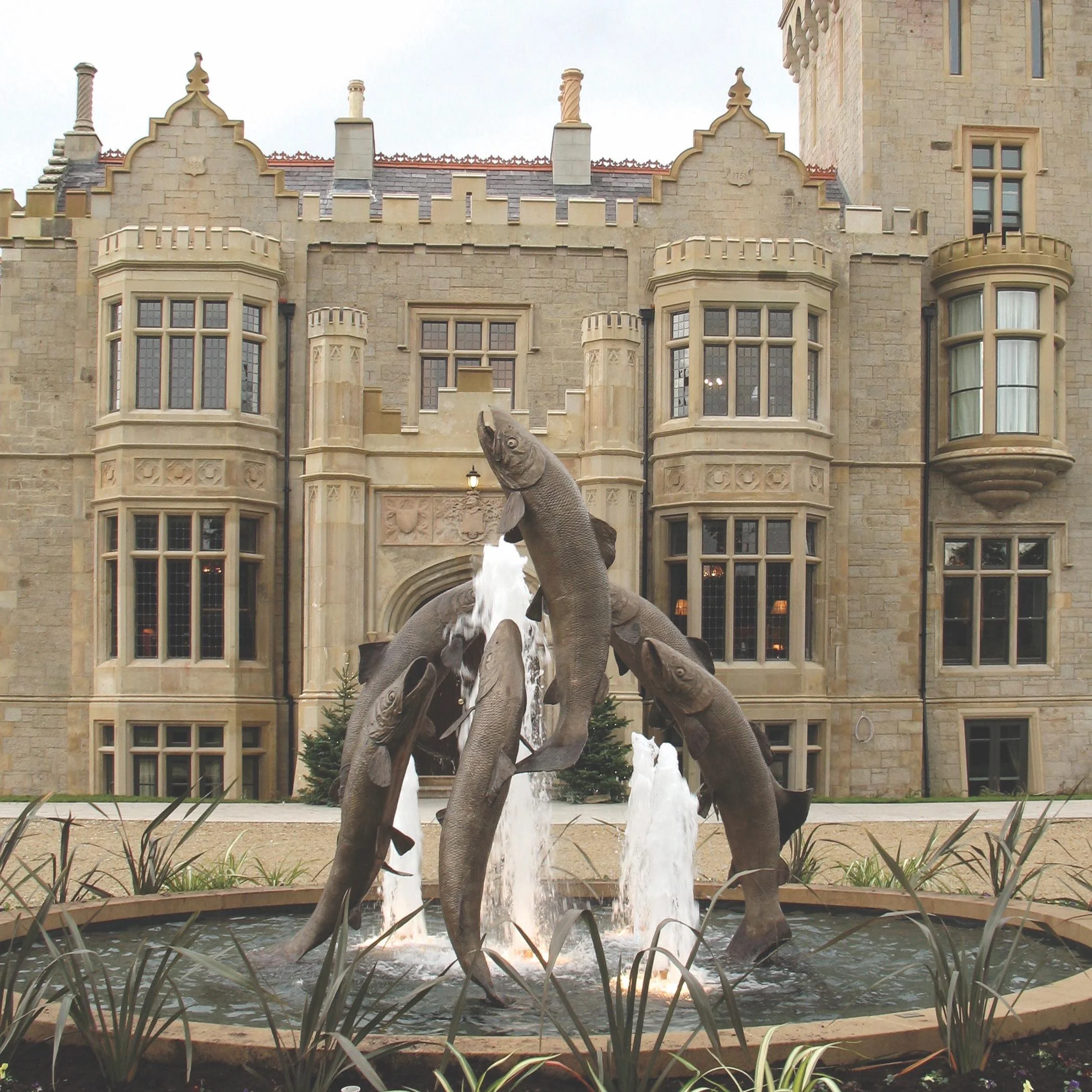  7 Salmon in County Donegal