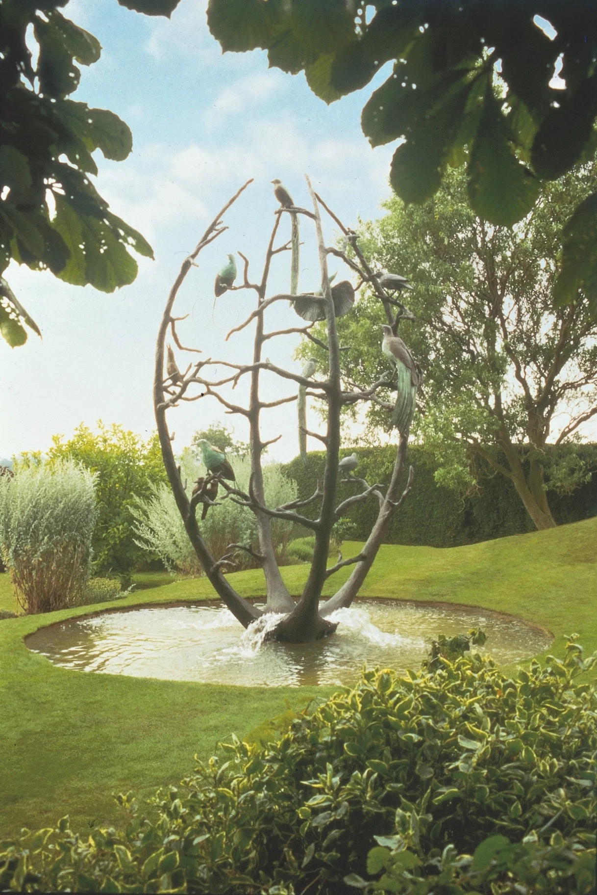 Amazonian Tree Fountain
