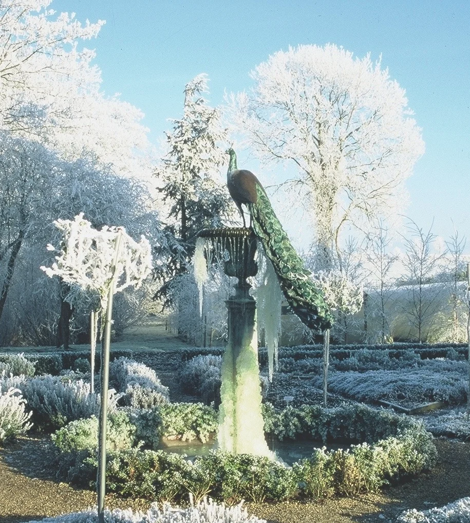 Peacock Fountain