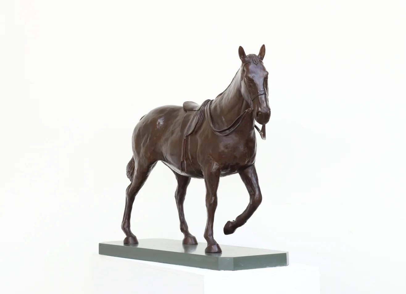 Horse - Hunter Study