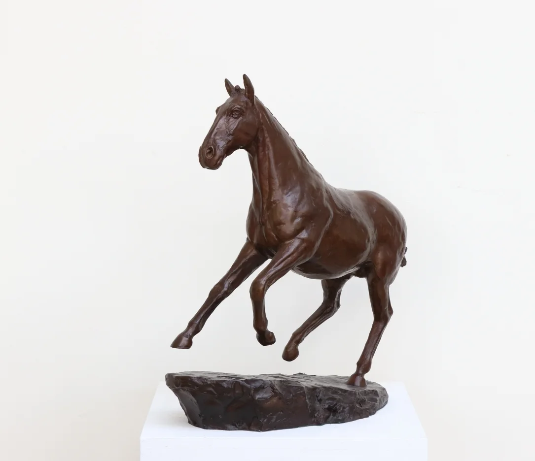 Horse - Optimist Study