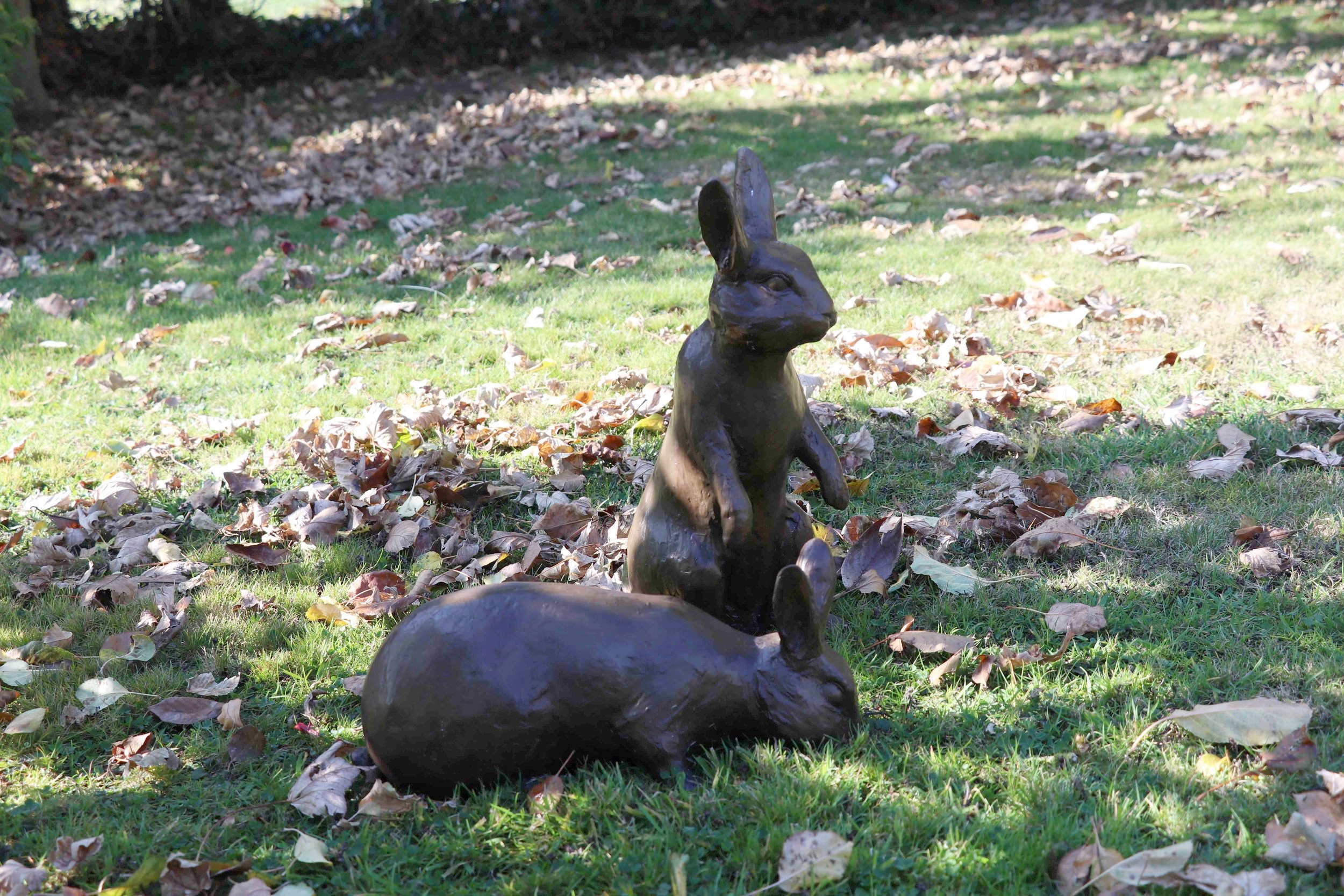 Rabbits - Pair