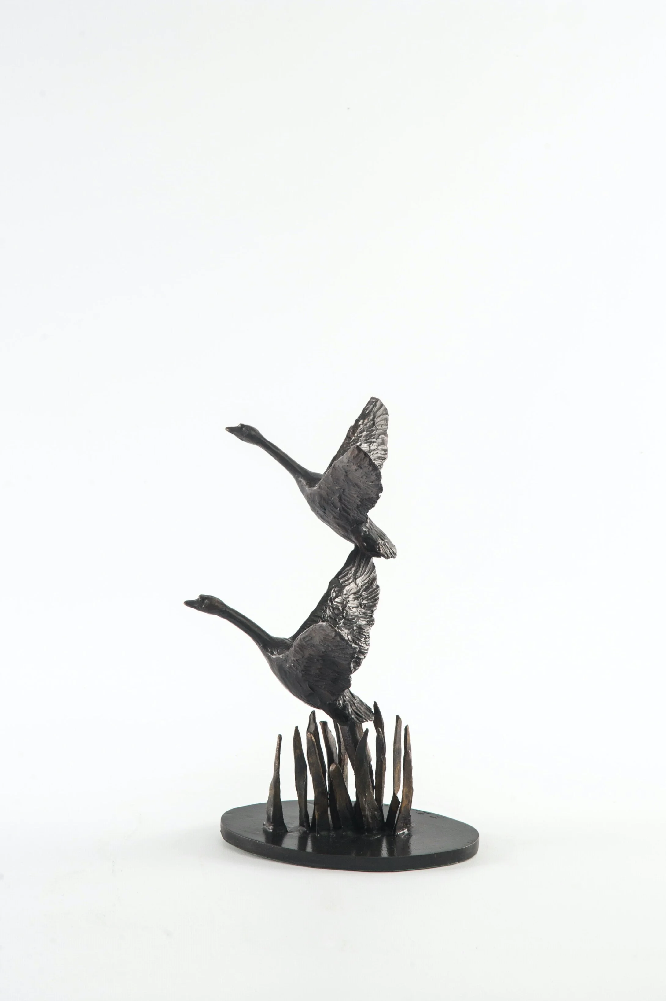 Swans in Flight - 2 Birds