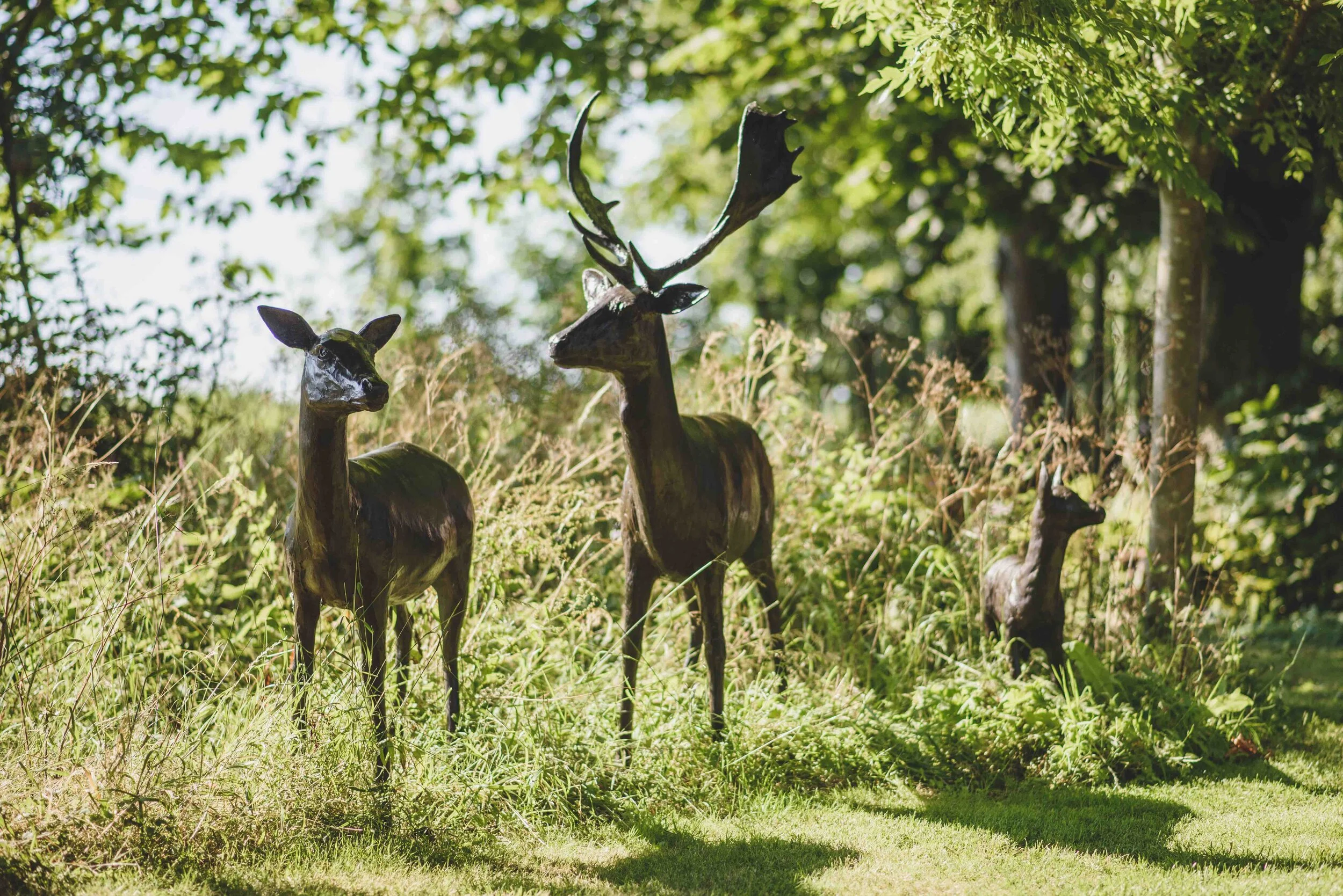 Deer - Buck, Doe and Fawn