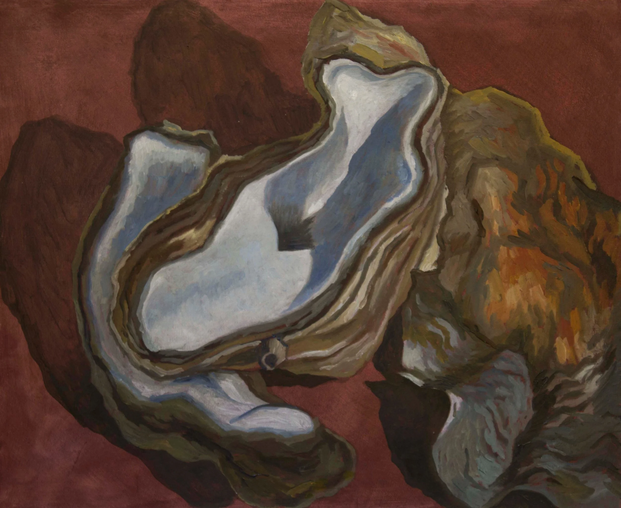Oysters