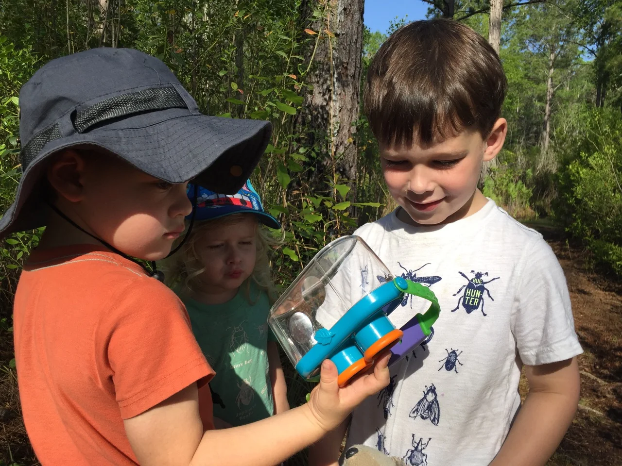 Tuscawilla Bug Walk