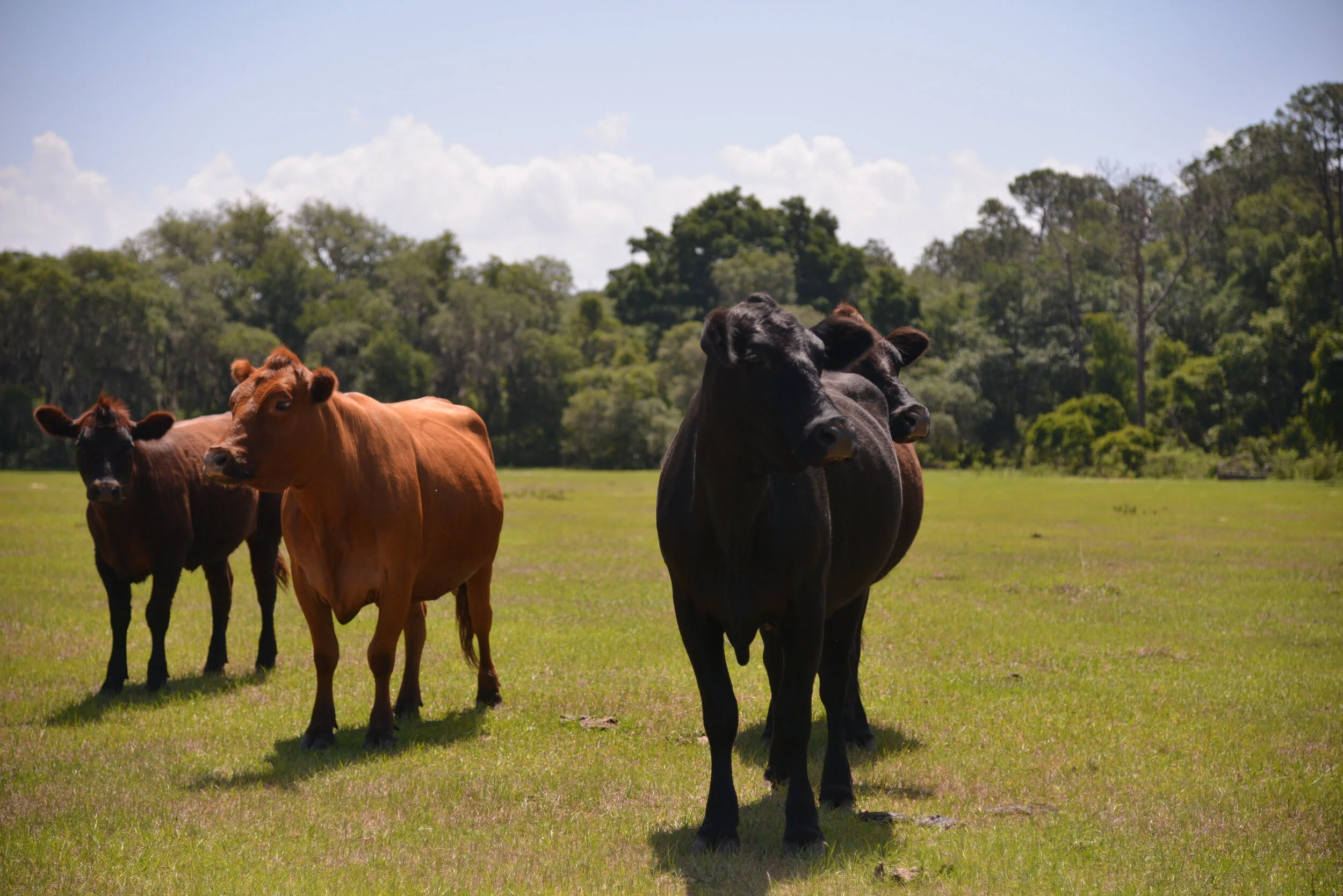 POSTPONED - Union County Landowner Conservation Workshop