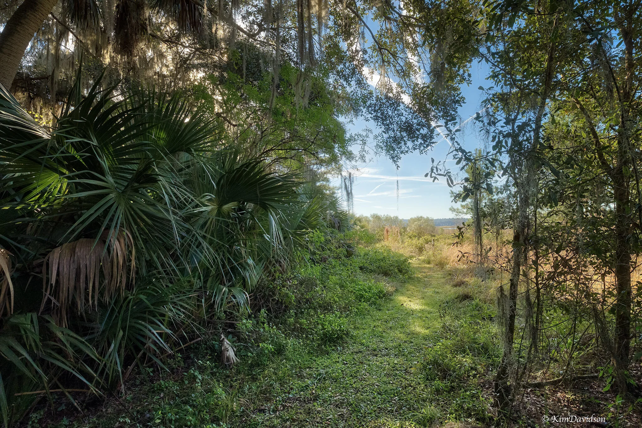 Alachua Conservation Trust — Tuscawilla Preserve