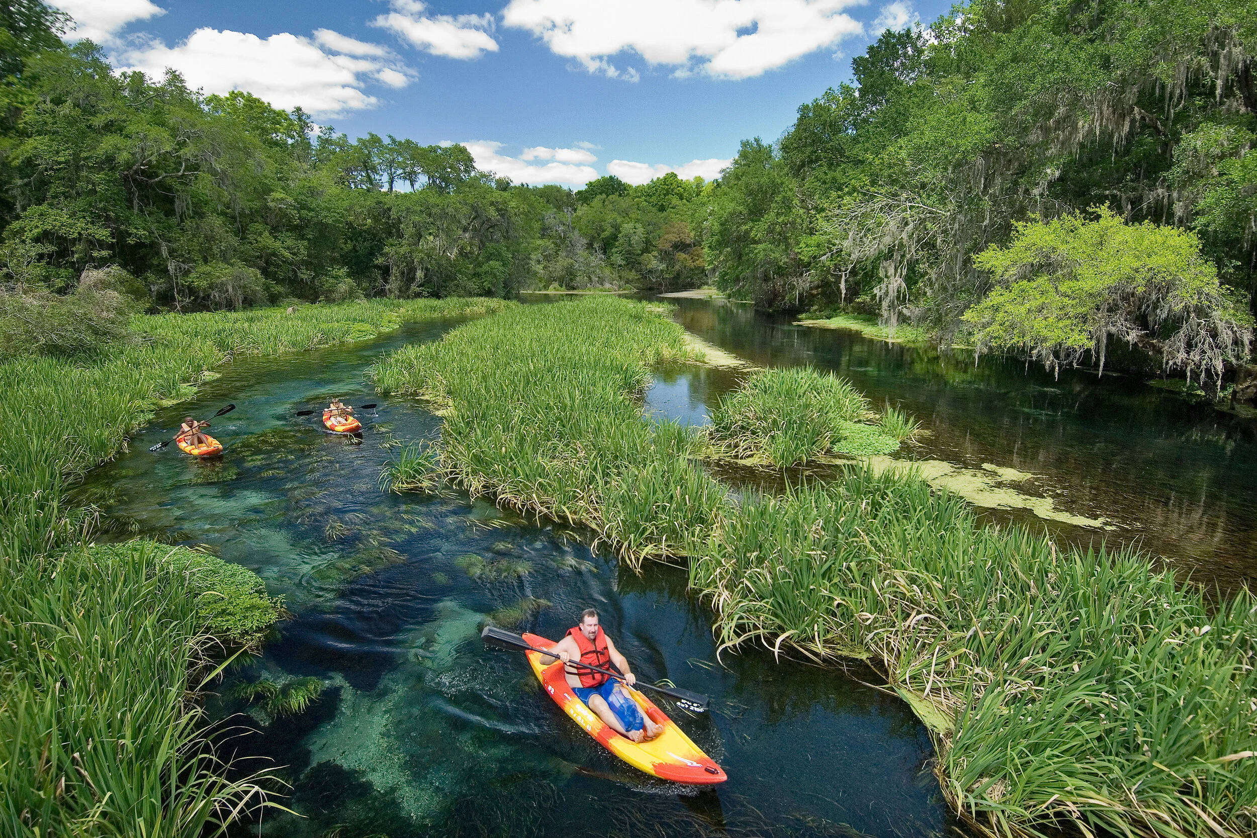 Alachua Conservation Trust — Regional Aquifer & Springs Protection